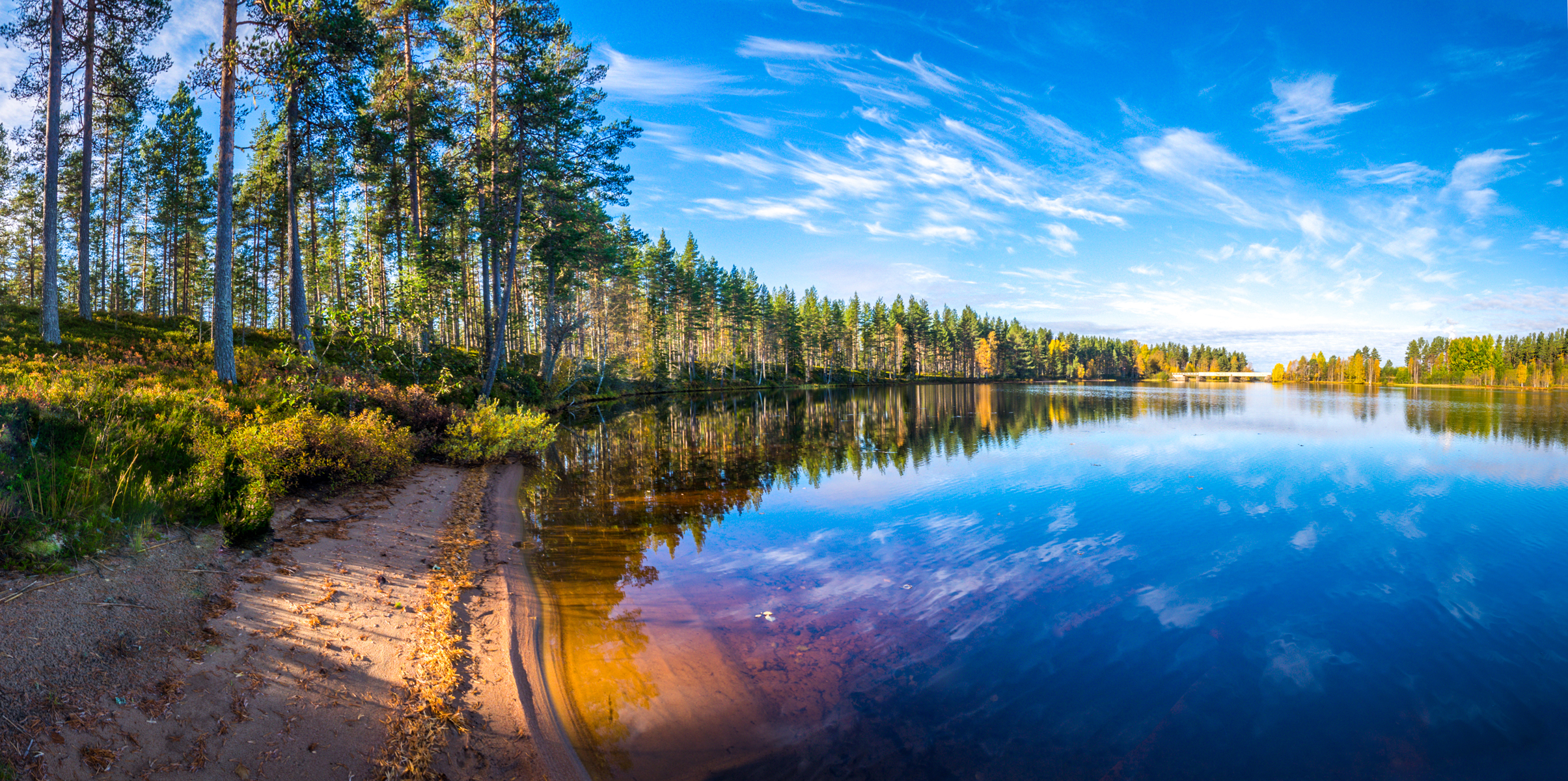 Берег реки в лесу