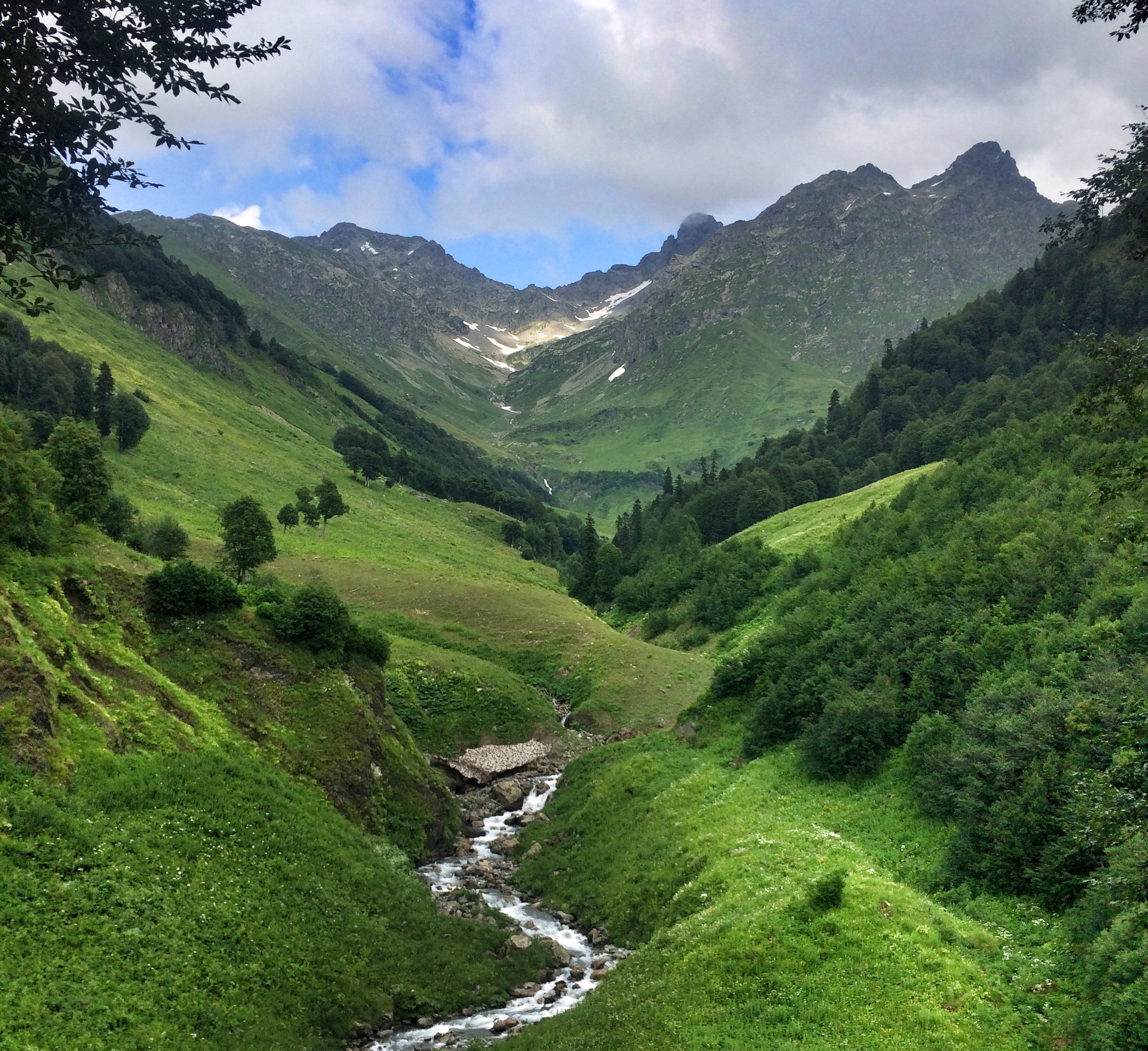 гора сухумская