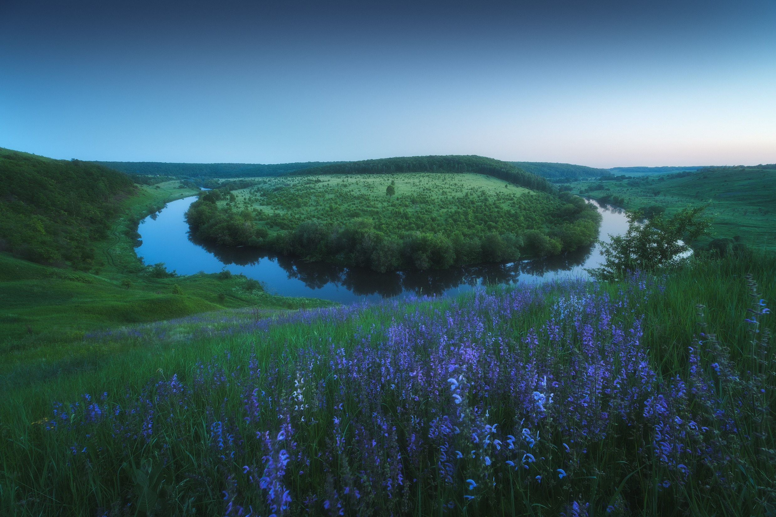 красивые места в луге