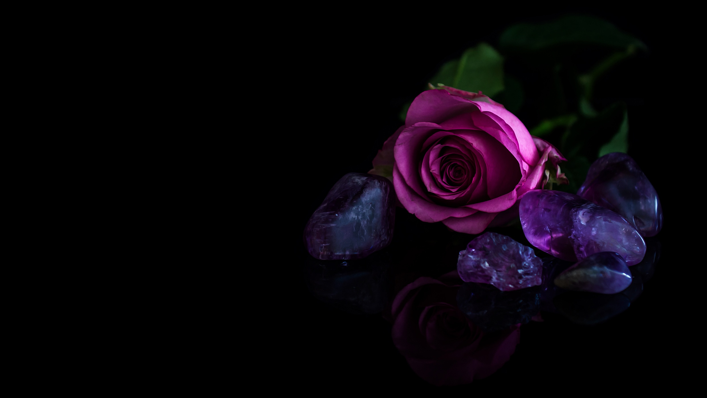 Фон на телефон темные цветы. Фиолетовые цветы. Цветы на черном фоне. Красивые цветы на темном фоне.