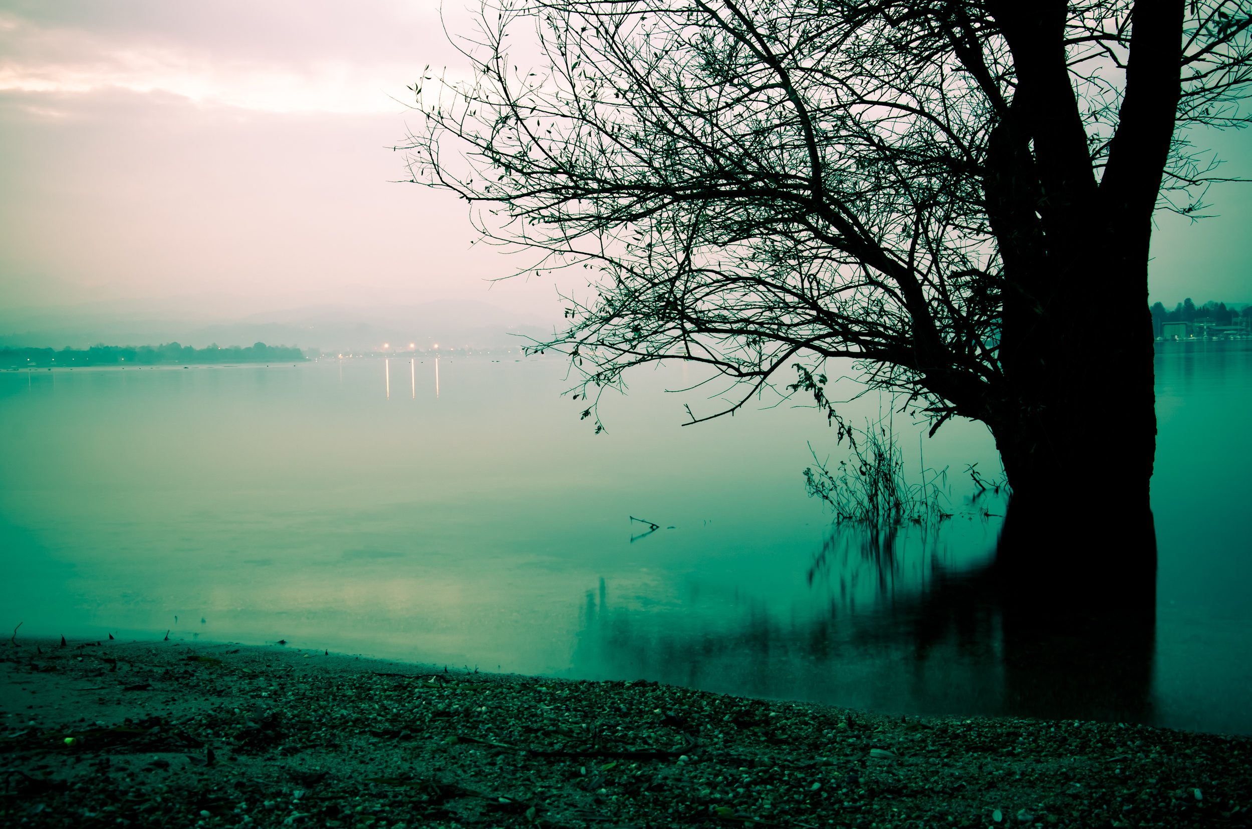 Грустное озеро. Озеро Леушинский туман. Мистическое озеро. Мрачное озеро. Озеро мистика.