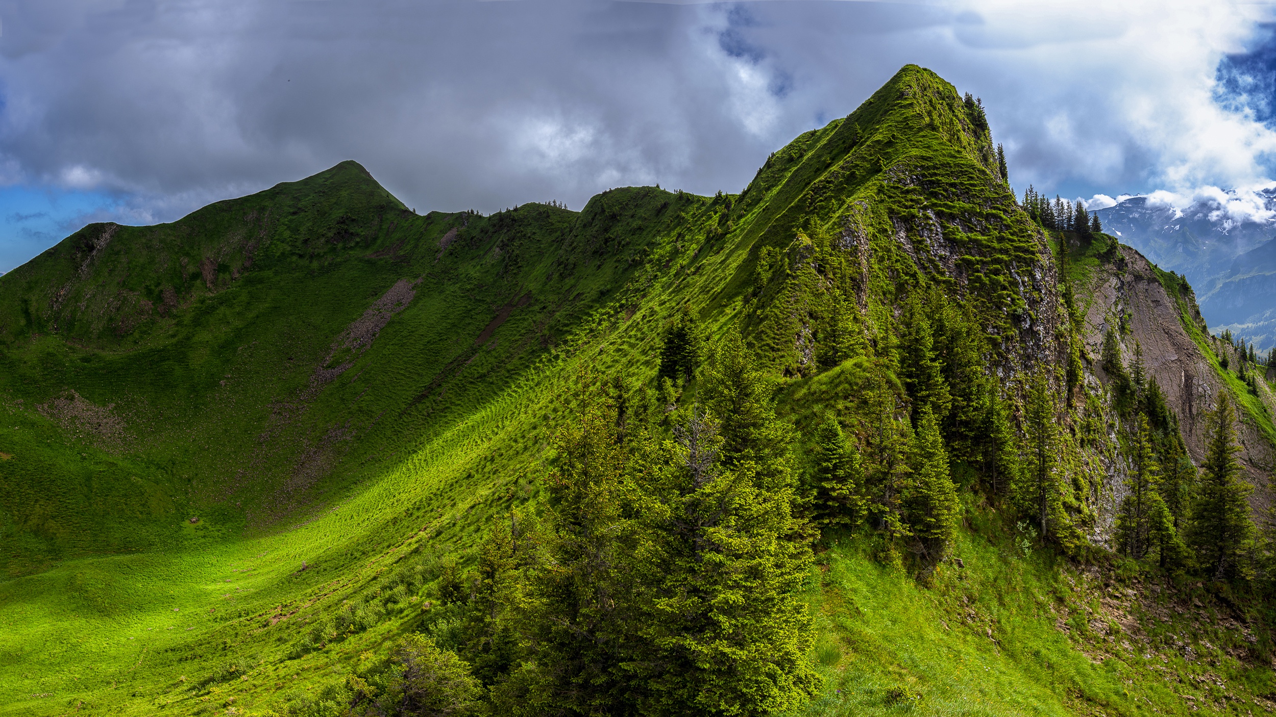 Влажный холм. Грин Маунтинс хребет. Зеленые холмы горный Алтай. Холмы Бугры горы зеленые. Чёртовы ворота Сихотэ-Алинь.
