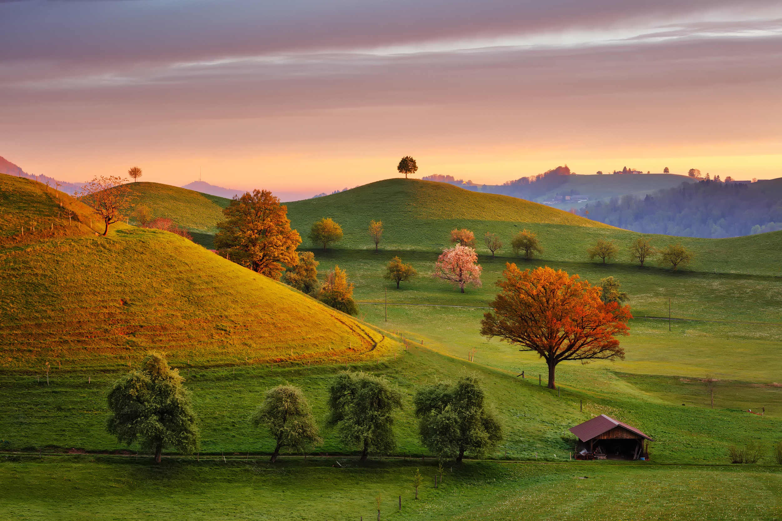 Countryside. Сказочное поле. Радостный пейзаж. Countryside scenery. Травеласк.