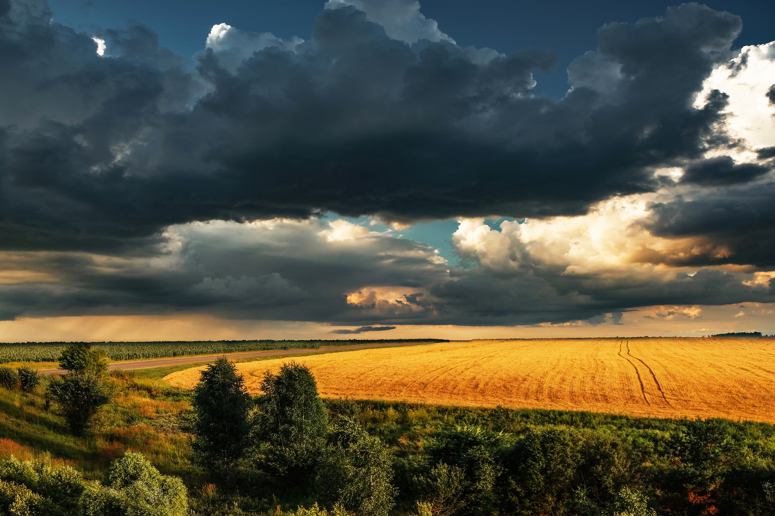 Закат перед грозой. Перед грозой. Поле перед грозой. Природа перед грозой.