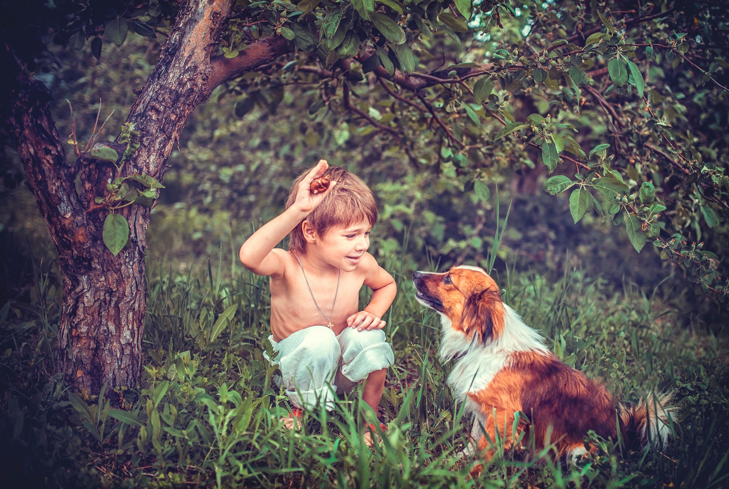 Мальчик играющий с собакой. Мальчик с собакой. Фотосессия с собакой на природе. Фотосессия с собакой летом. Детская фотосессия с собакой.