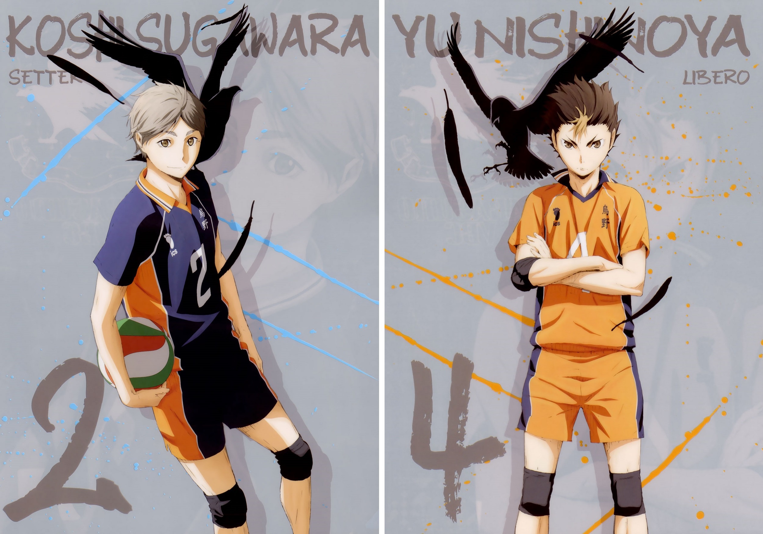 Обои мяч, перья, вороны, парни, спортивная форма, Haikyuu!!, Волейбол!, Yu  Nishinoya на телефон и рабочий стол, раздел сёнэн, разрешение 2500x1750 -  скачать