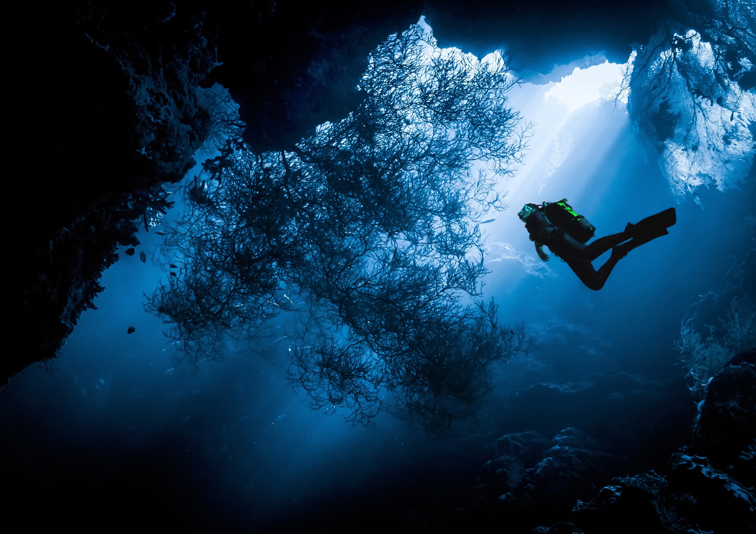 Красивые поды. Мексика Сеноты дайвинг. Под водой. Глубина погружения. Океан под водой.