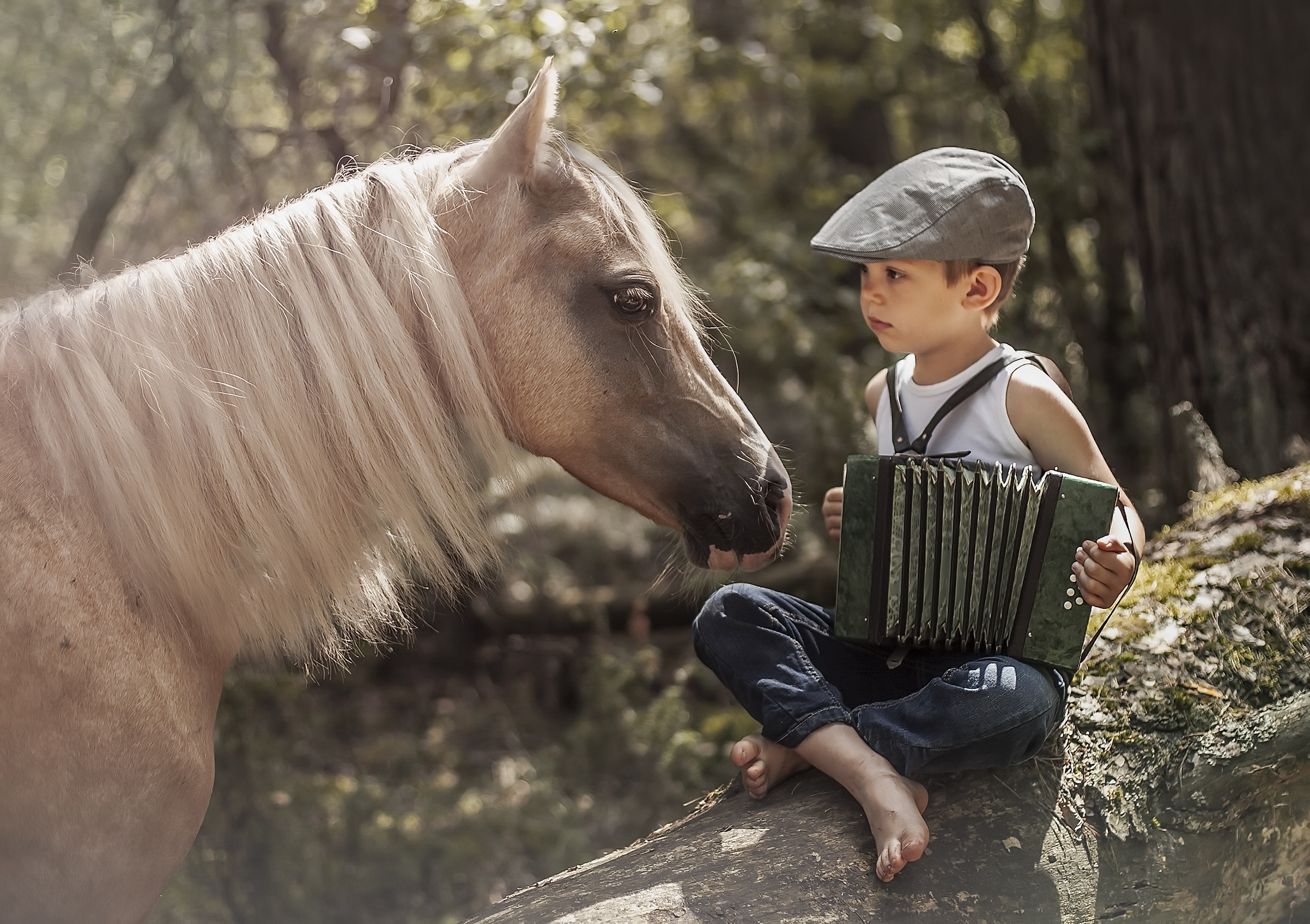Мальчик на лошадке. Мальчик на лошади. Детская фотосессия с лошадкой. Детская фотосессия с лошадьми. Лошадь для детей.