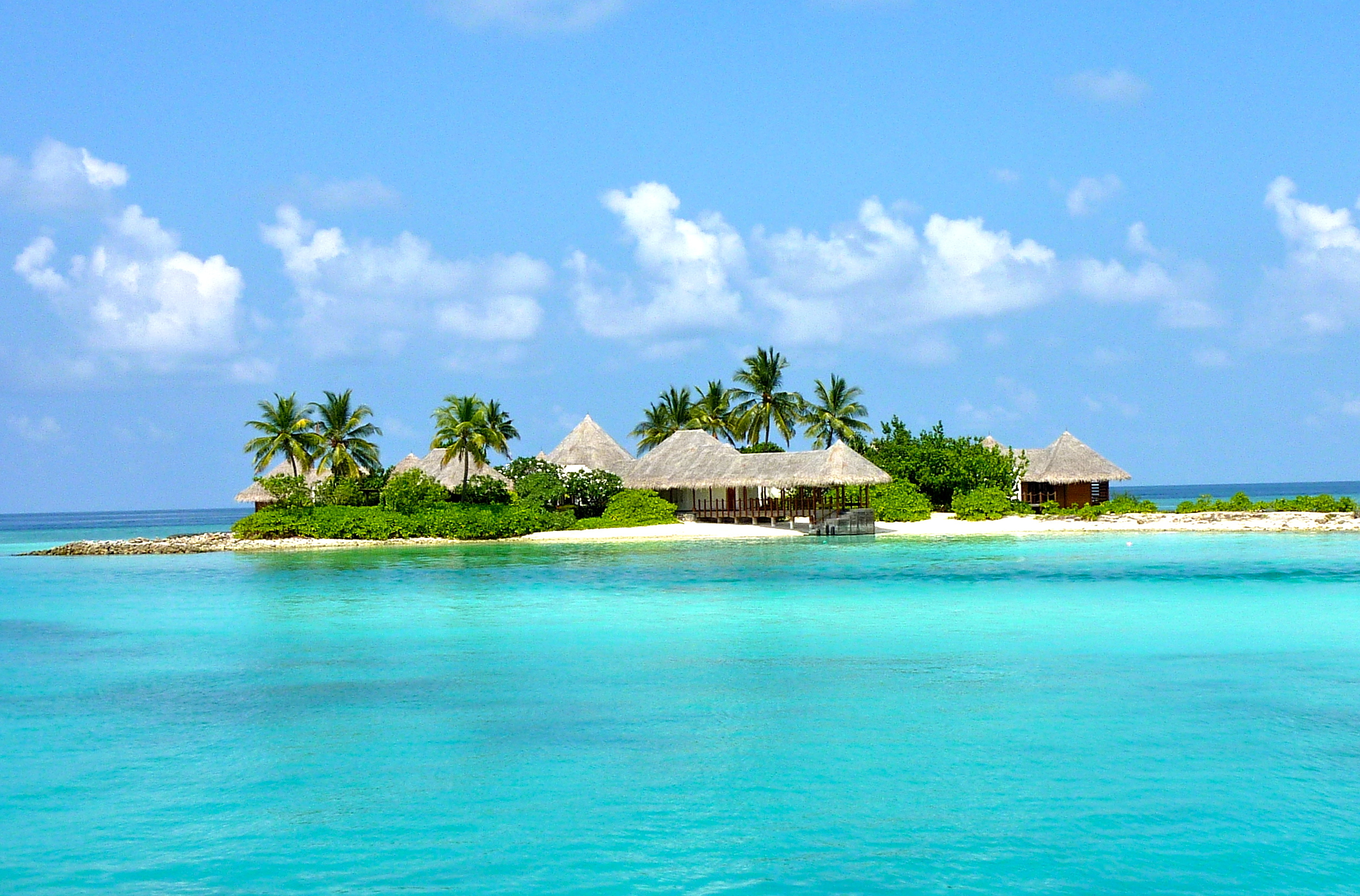 Песни остров в океане. Парадиз остров Карибского моря. Гавайи Мальдивы Карибы. Красивый остров в океане. Остров Пальма.