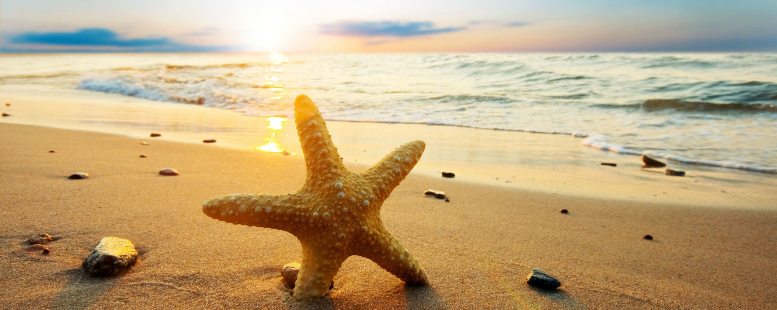 Здесь вас ждут морские пляжи. Муз пляж море. Море Солнечный день пляж песок. Море солнце песок. Красивые картинки.