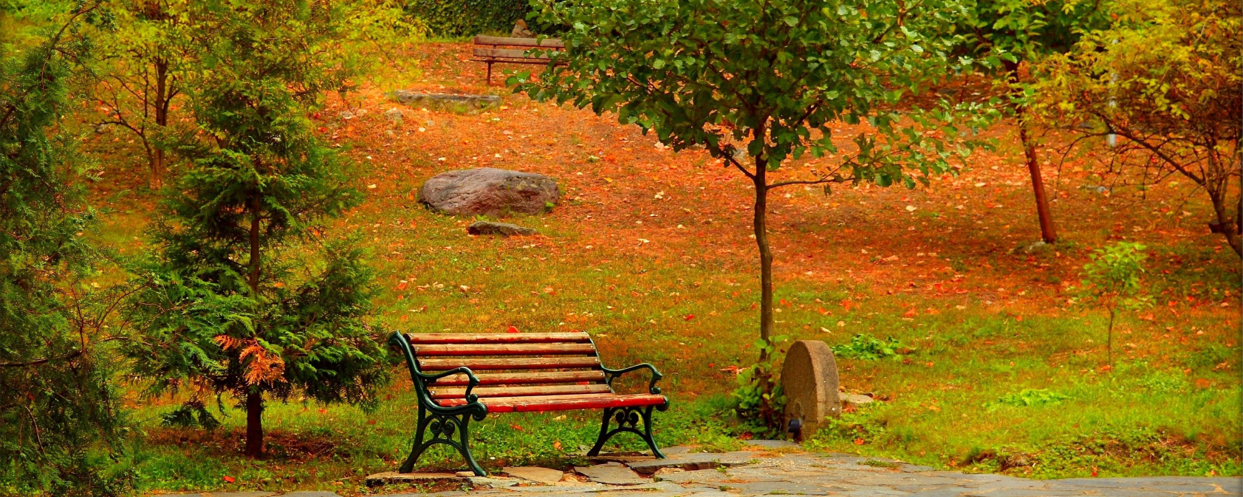 картина осень парк скамейка