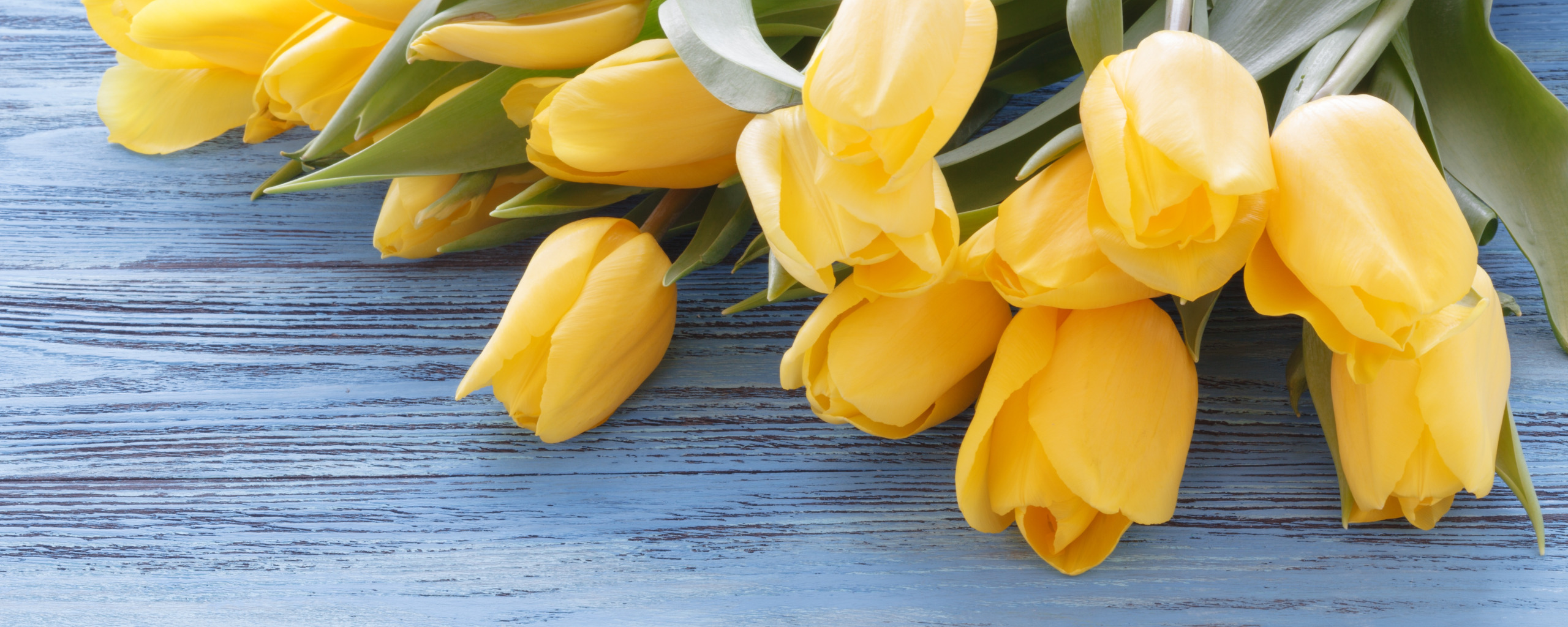 Почему желтые тюльпаны вестники разлуки. Обои на смартфон желтые тюльпаны и кофе. Фото Весеннее с желтыми тюльпанами на обложку страницы в ВК.