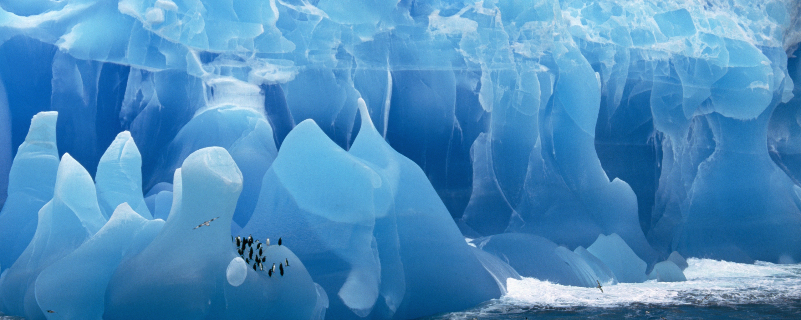 Обои лед 3. Обои на рабочий стол лед. Сон ледник. Ледник с пингвинами заставка на рабочий стол. Ледяное море Фридриха.
