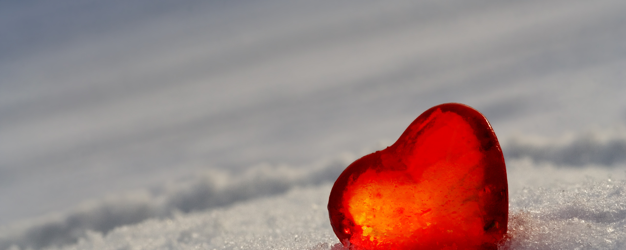 В тепле сердце в льдах. Сердце на снегу. Обои на рабочий стол сердце в снегу. Сердечко нассано на снегу. Сердце на снегу фото.
