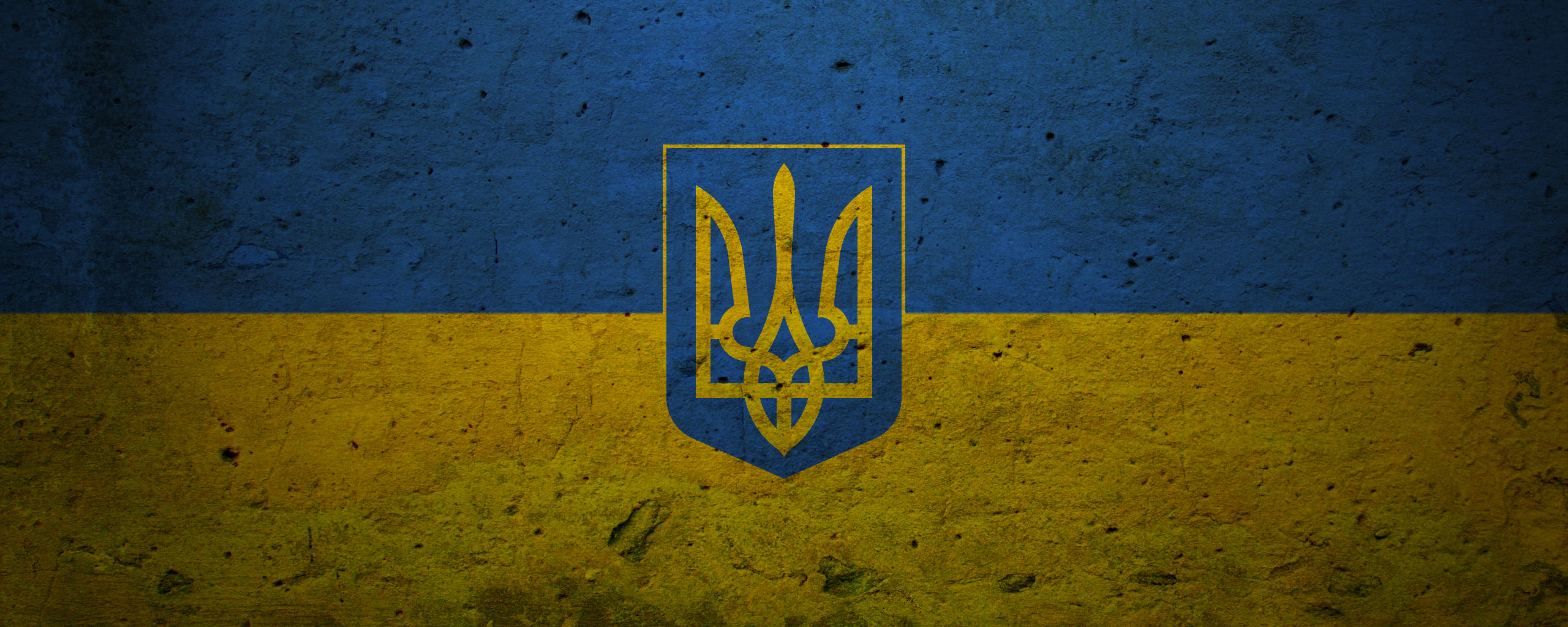 украинский флаг для стима фото 45