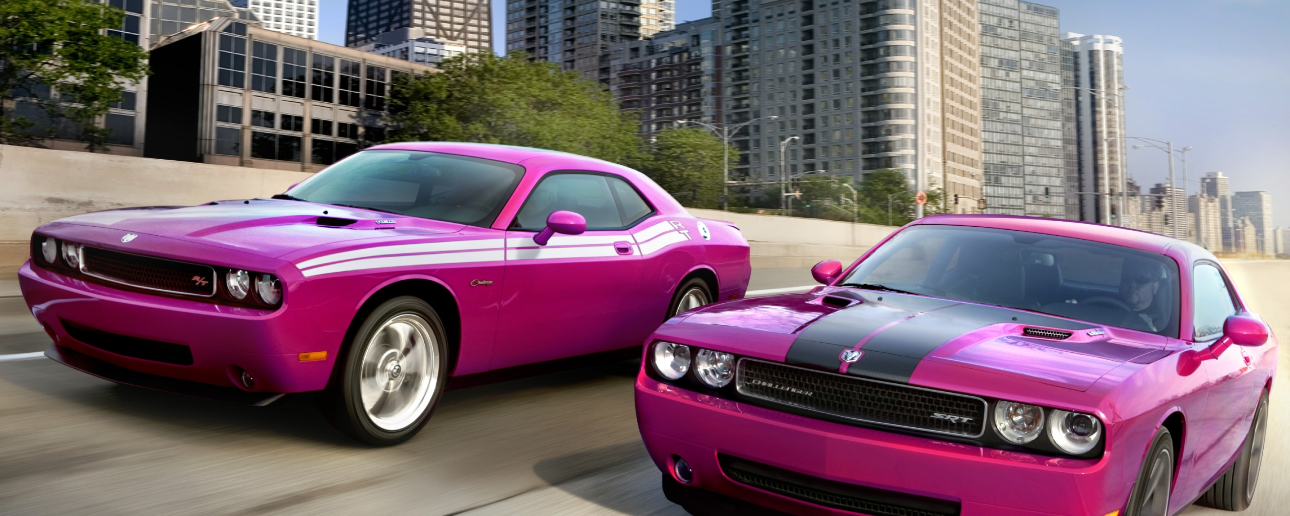 Dodge Challenger srt8 с девушкой