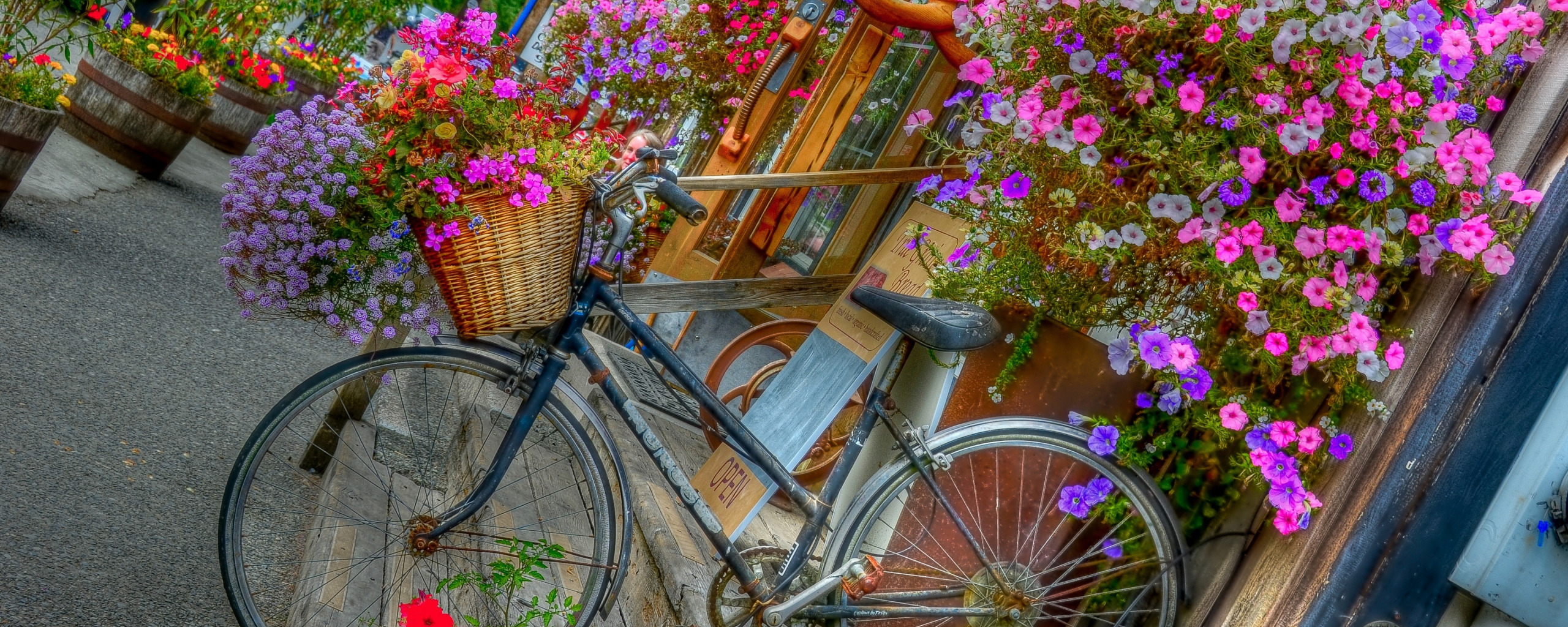 Велосипед в цветах зеленый. Велосипед с цветами. Ретро велосипед с цветами. Фотосессия с велосипедом и цветами. Велосипед с цветами Прованс.
