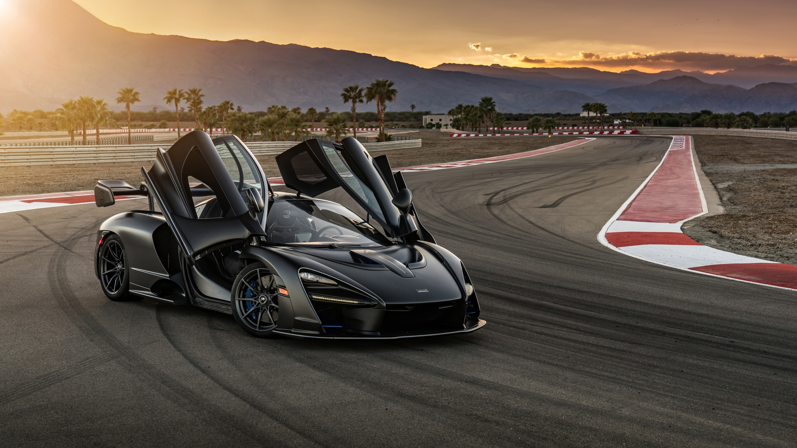 MCLAREN Senna черный