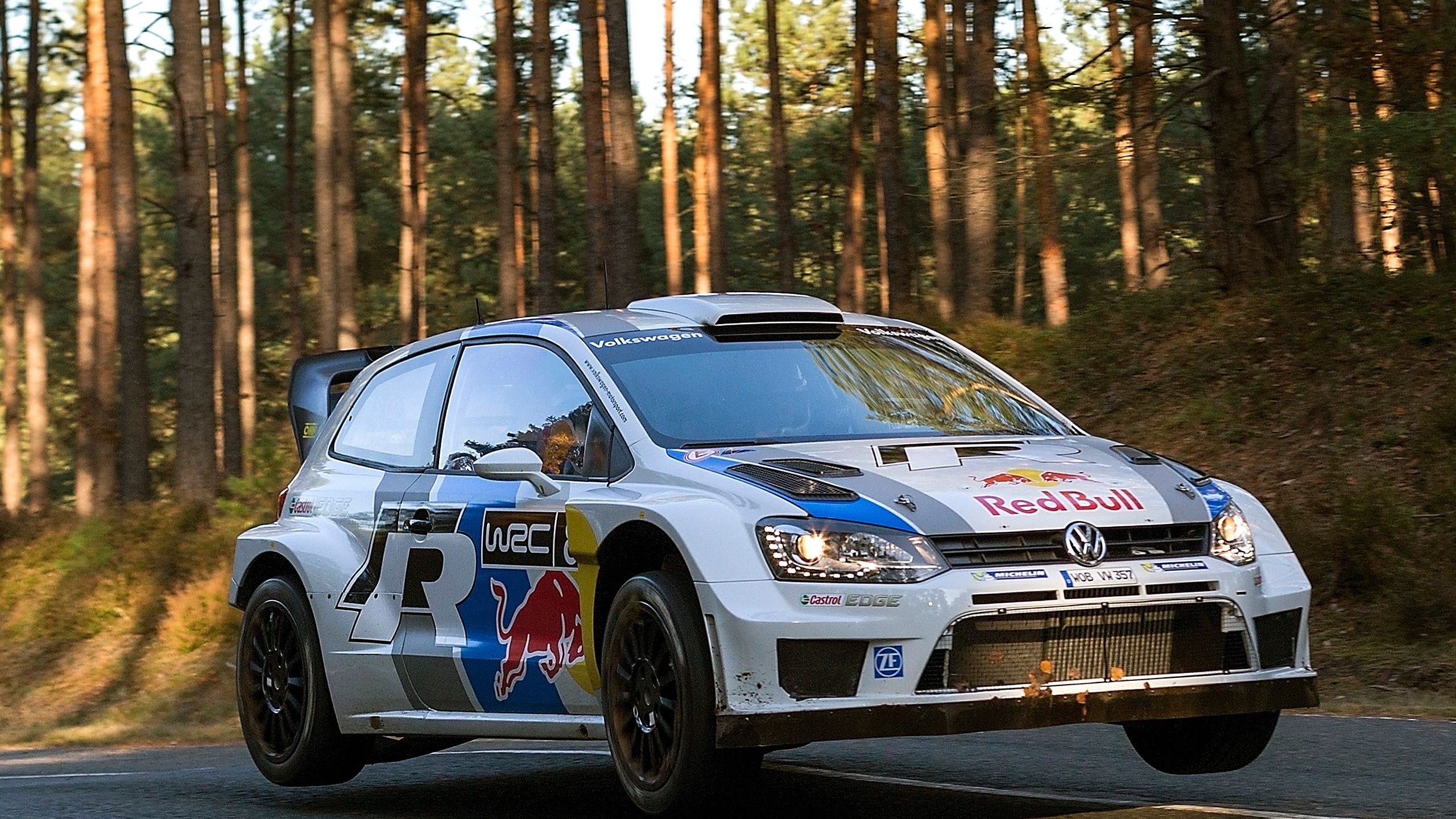 Polo WRC Rally 4 Motion