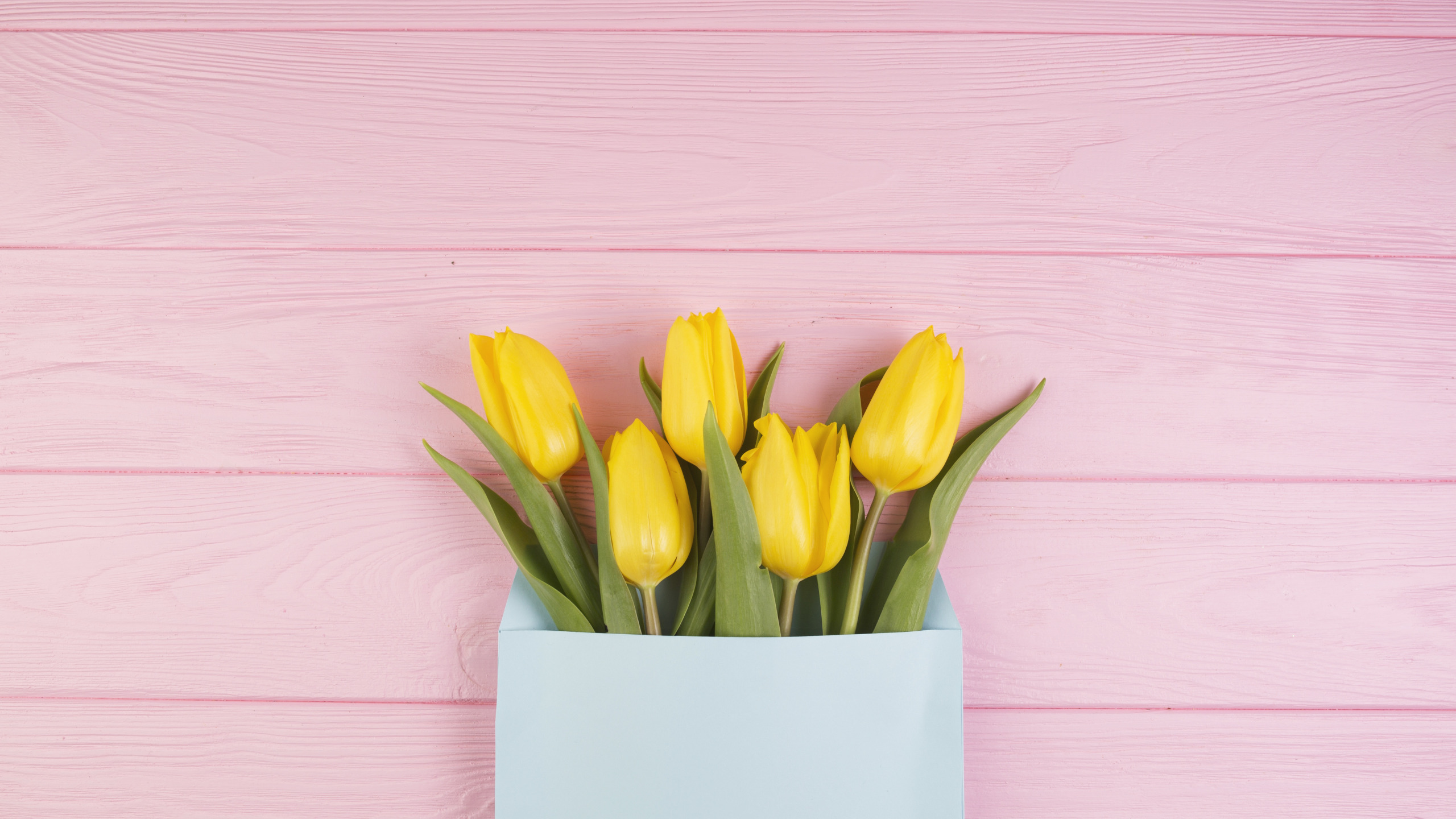 Тюльпаны минимализм. Тюльпаны фон. Желтые тюльпаны. Тюльпаны на желтом фоне.