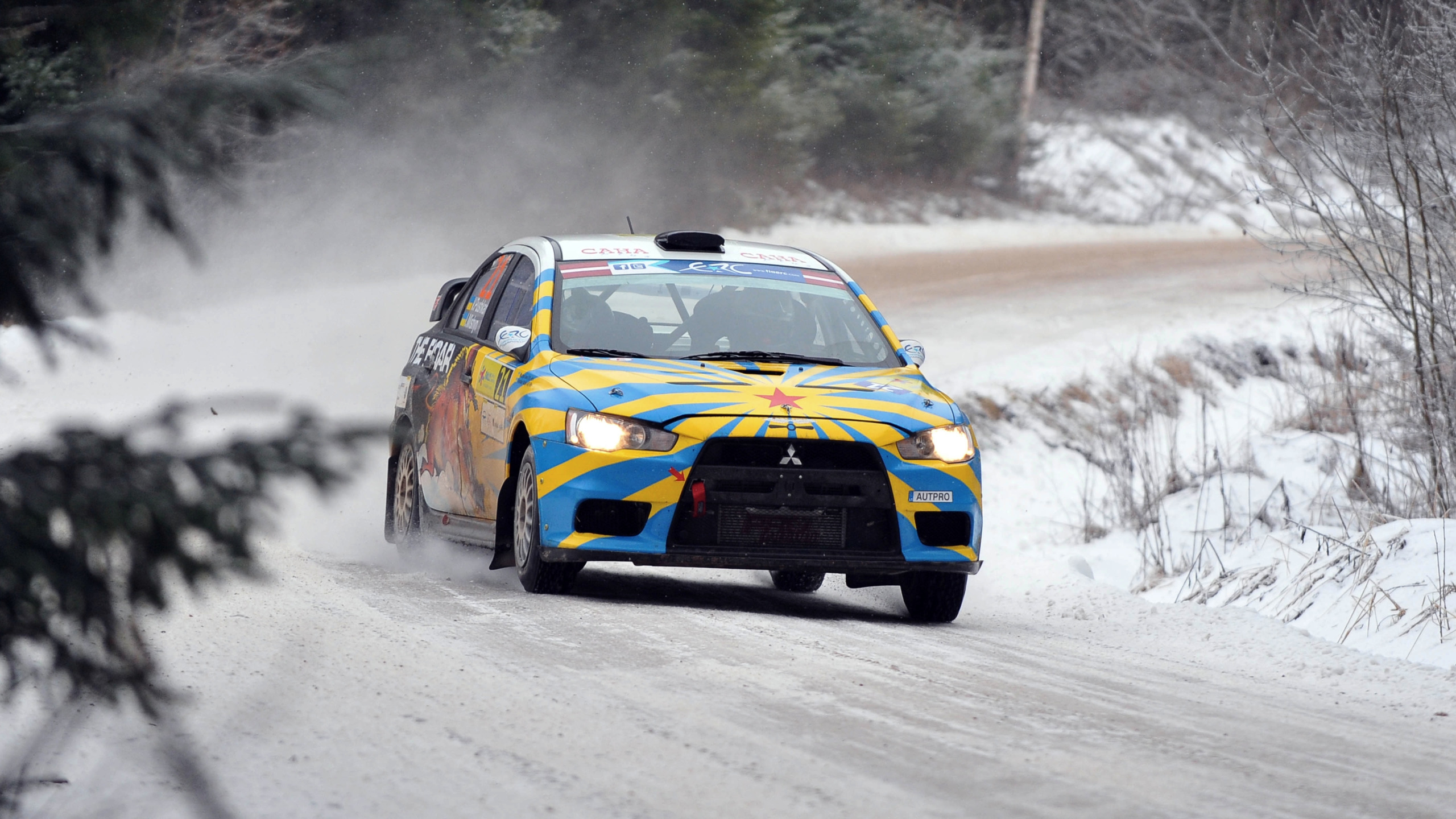 WRC r15 Winter