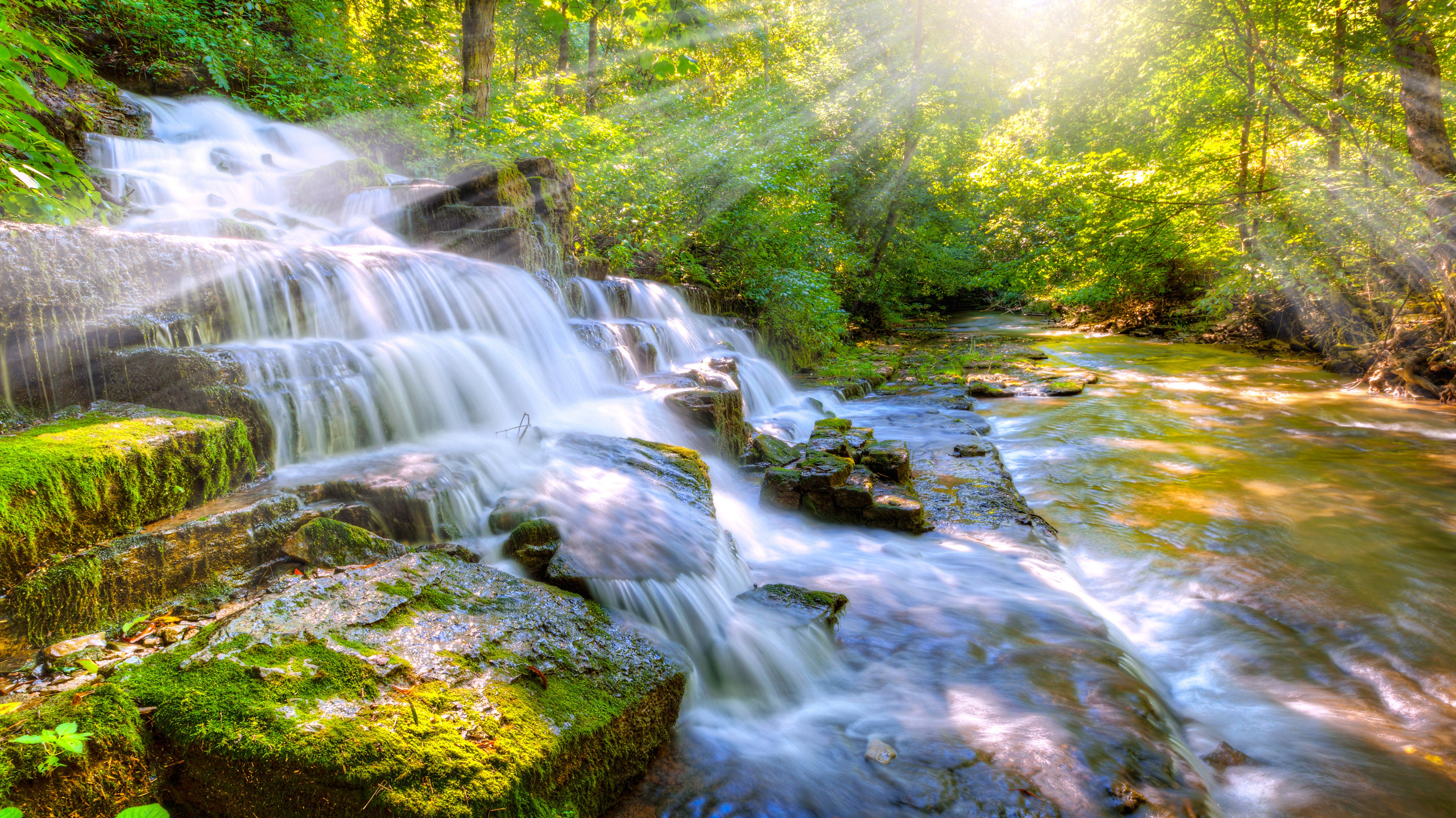 Пение птиц и водопад. Природа. Красивая природа. Красивые пейзажи с водопадами. Водопад в лесу.