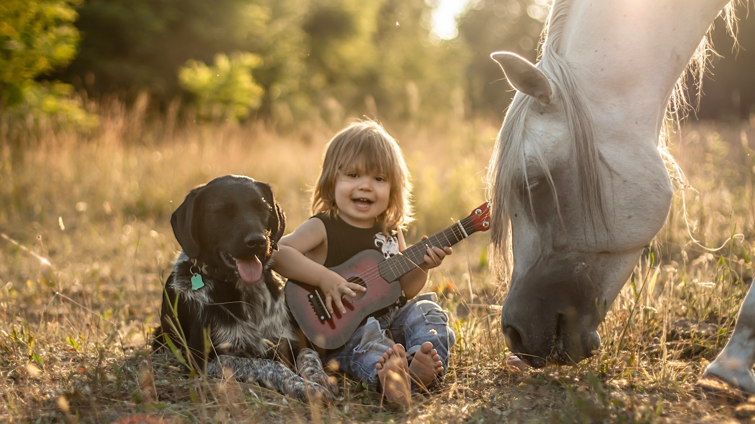Мальчик на лошади. Детям о животных. Собака для детей. Дружба с природой.