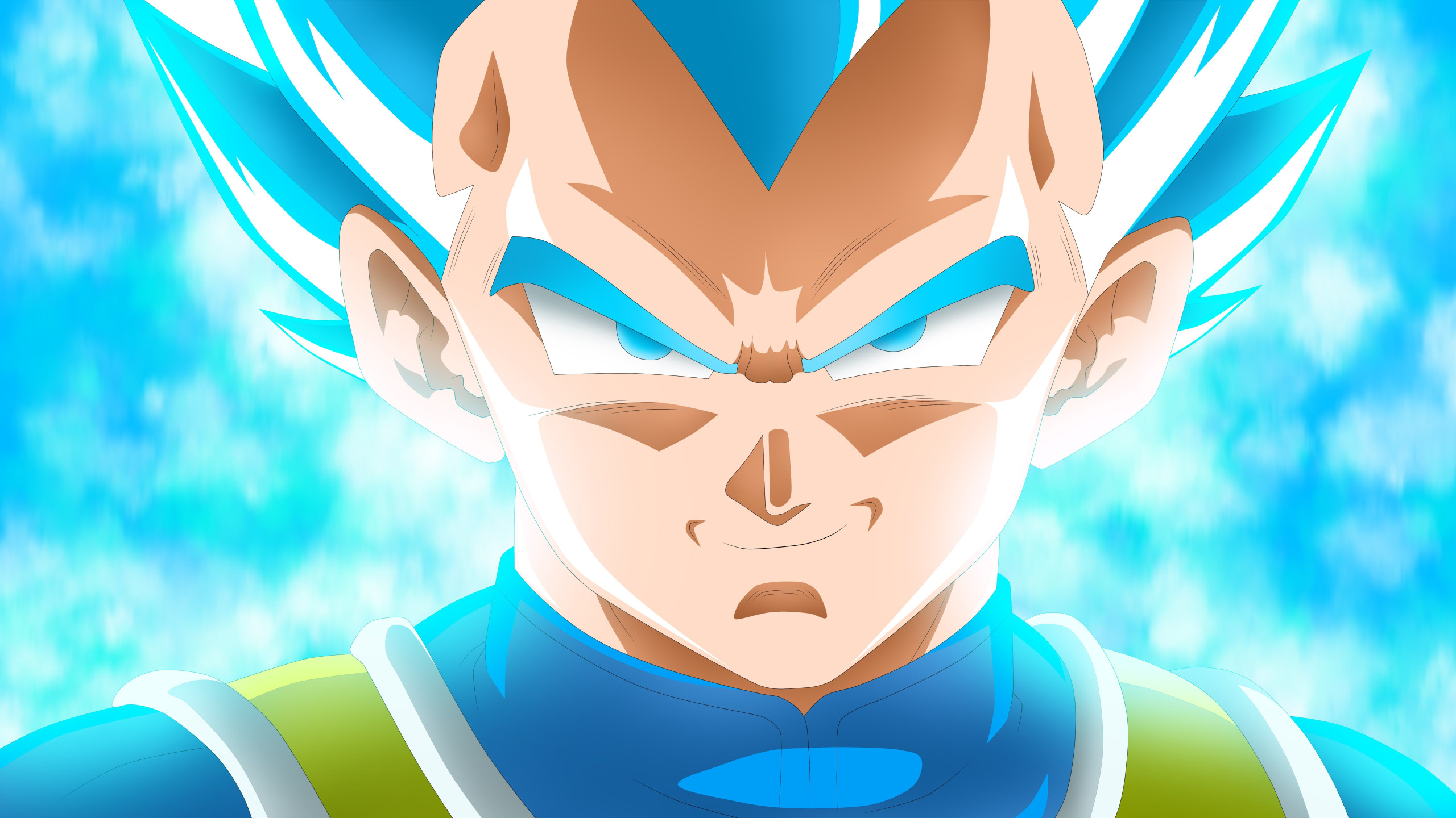 Dragon ball vegeta. Вегета драгон бол супер. Вегета (жемчуг дракона). Vegeta super Saiyan Blue. Dragon Ball super Saiyajin Blue.