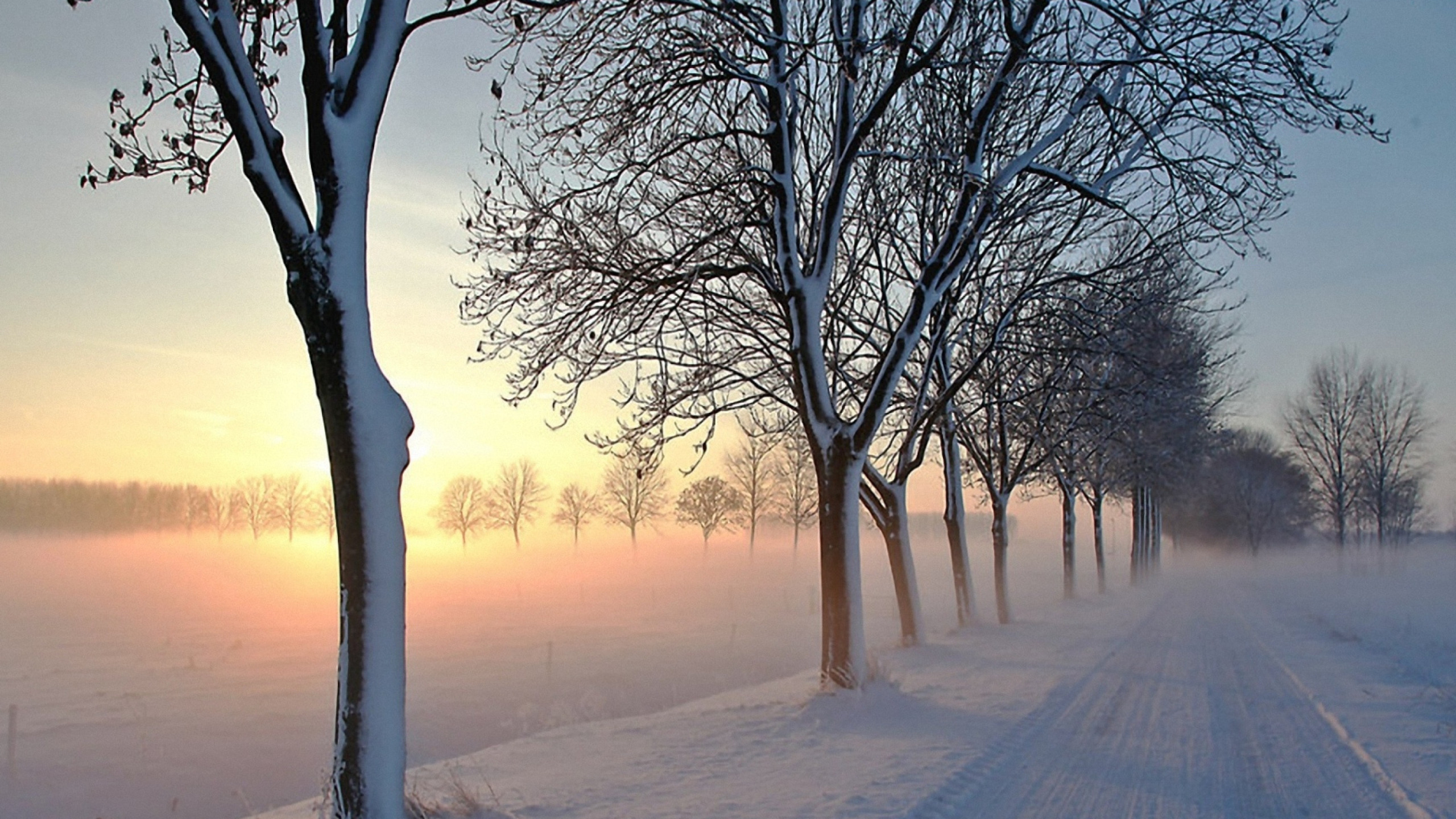 Snowy morning. Февраль природа. Февральский пейзаж. Пасмурное зимнее утро. Красивый февральский пейзаж.