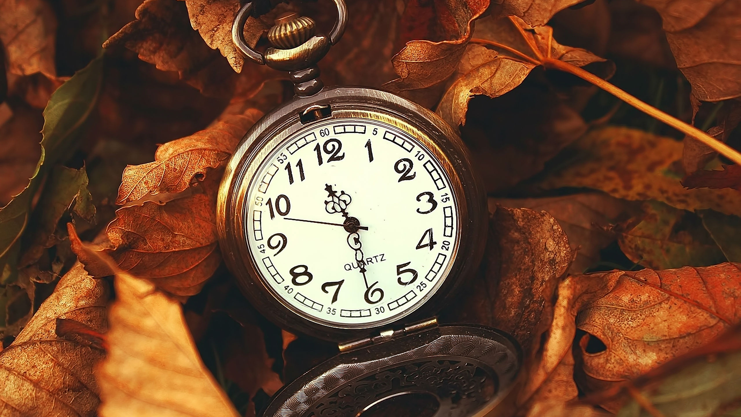 Часы кинуть. Старинные часы. Осенние часы. Часы в листве.