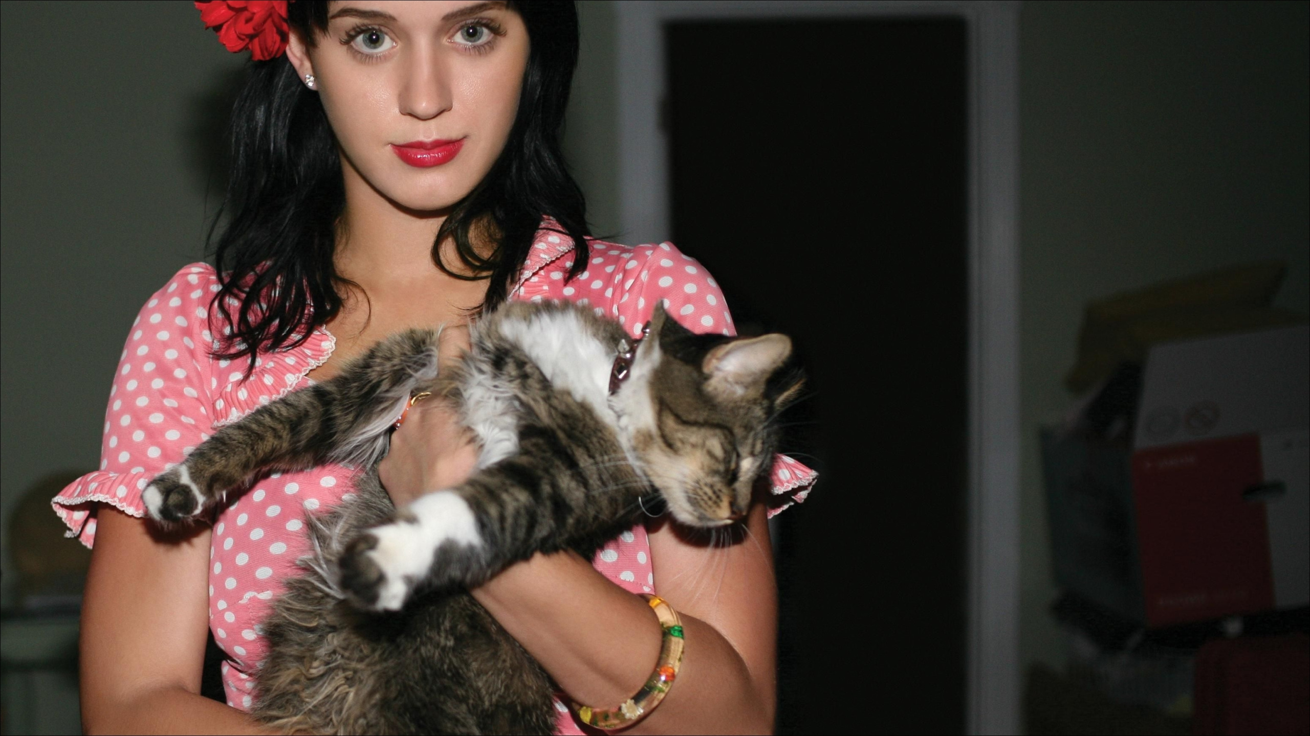 Katy Perry кошка. Kitty Purry.