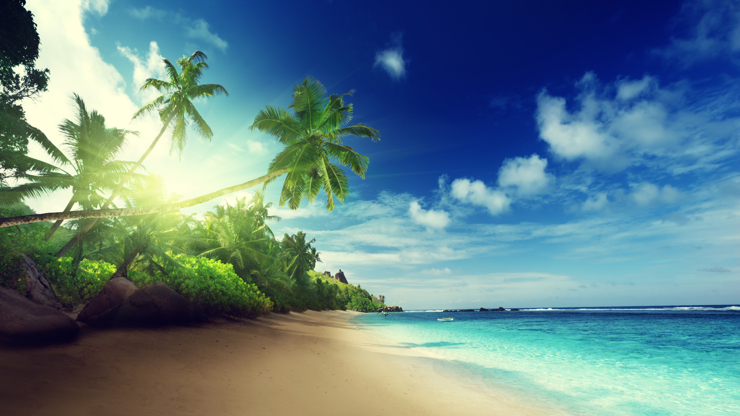 красивый пляж с пальмами