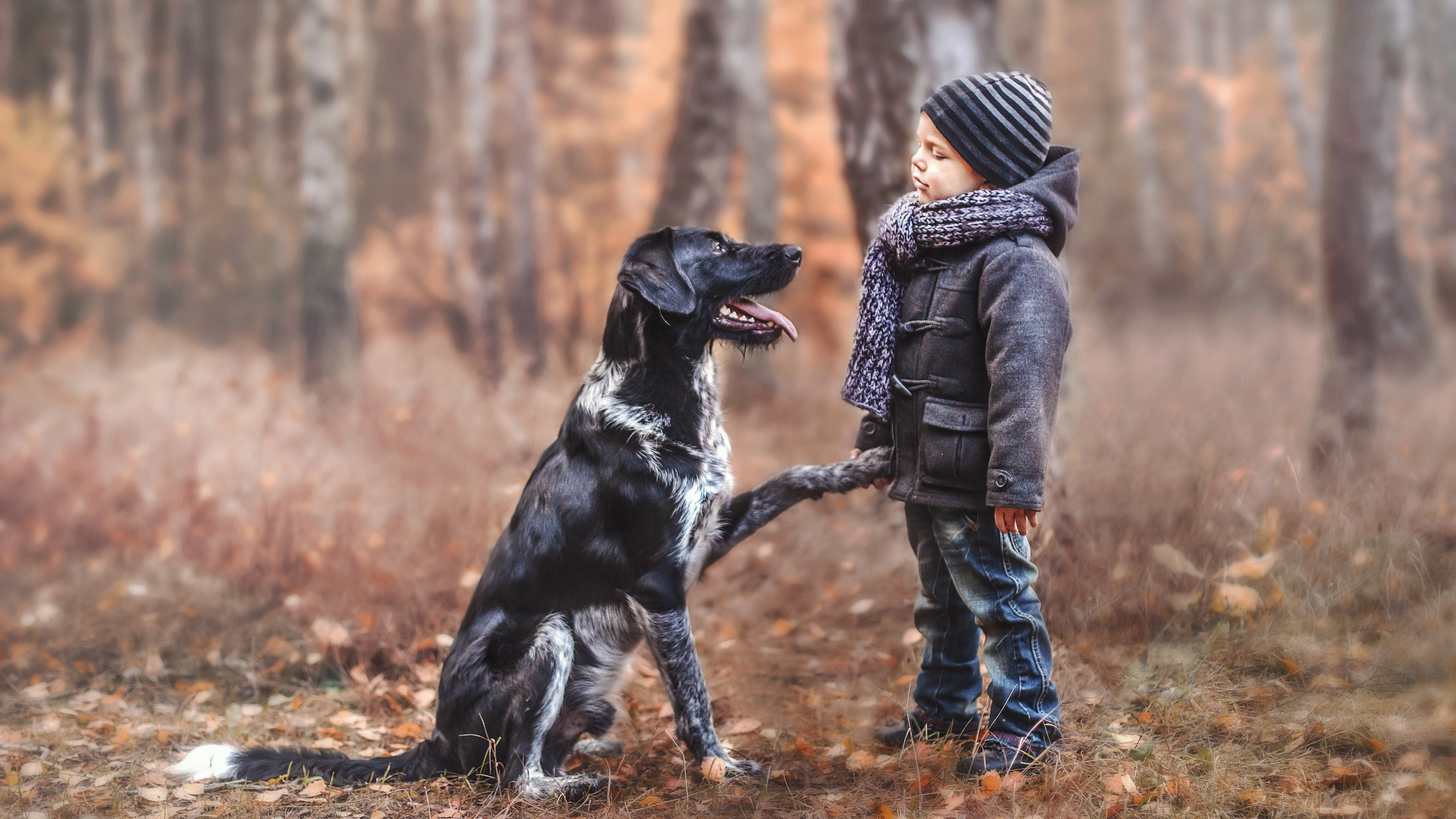 Собака для детей. Мальчик с собакой. Прогулка с собакой. Для детей. Животные.