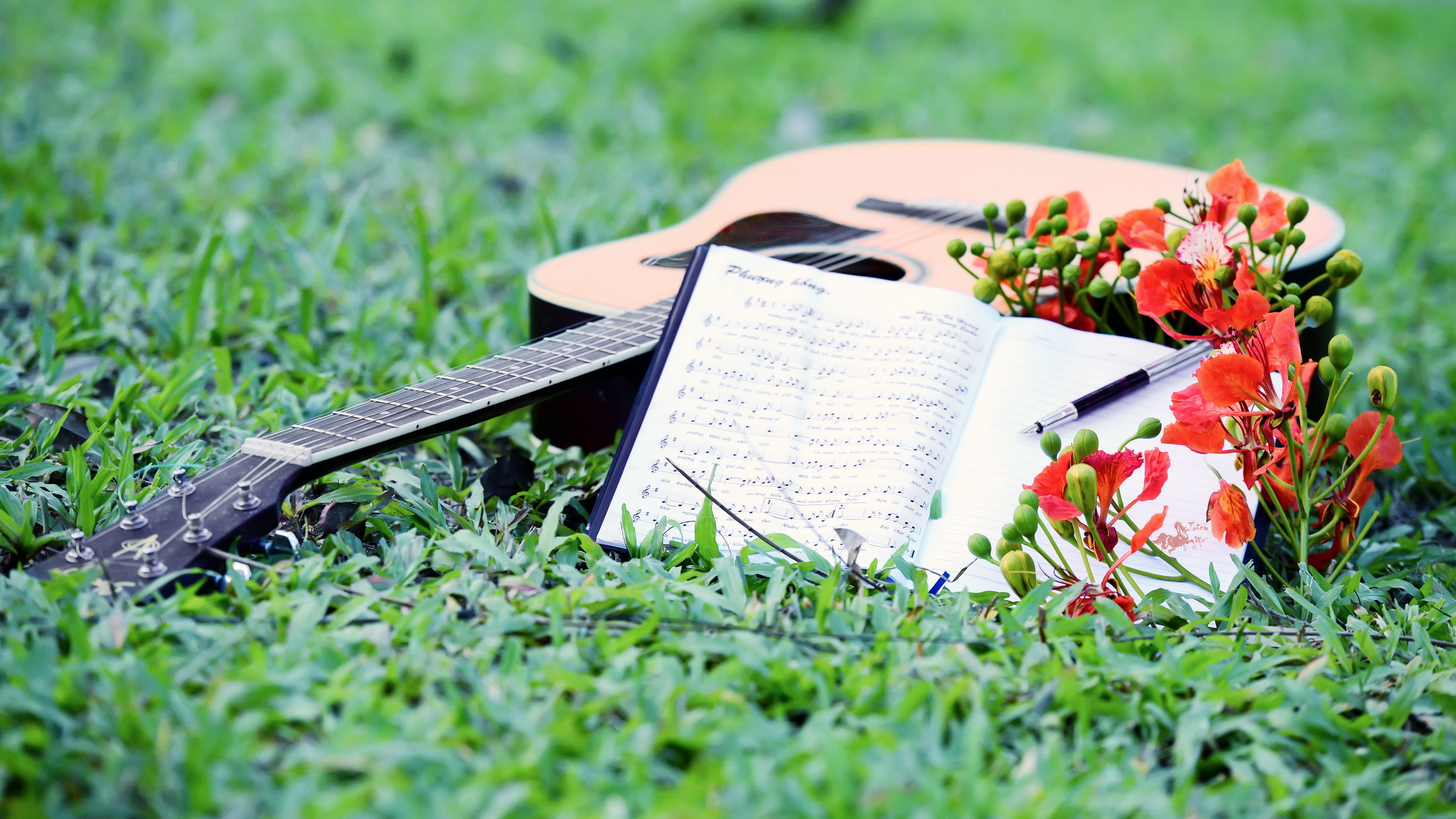 Современная музыка поэзия. Музыкальные вечера на природе. Музыкальные инструменты на природе. Музыкальные инструменты и цветы. Музыкальные инструменты на траве.