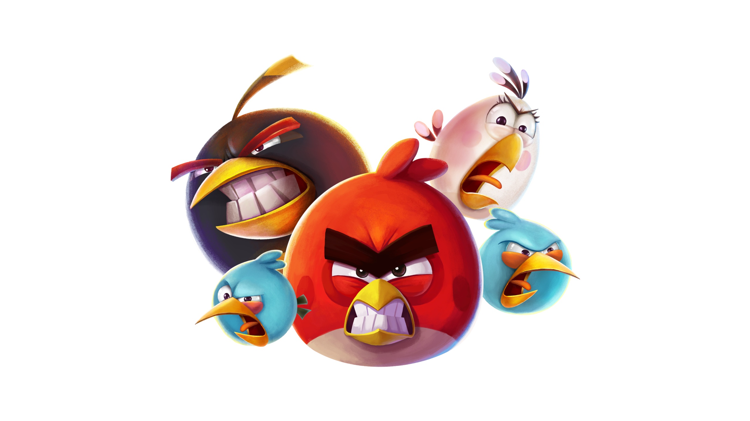 Скачать обои птицы, игры, обои, игра, картинки, белый фон, wallpaper, angry  birds, раздел игры в разрешении 2560x1440