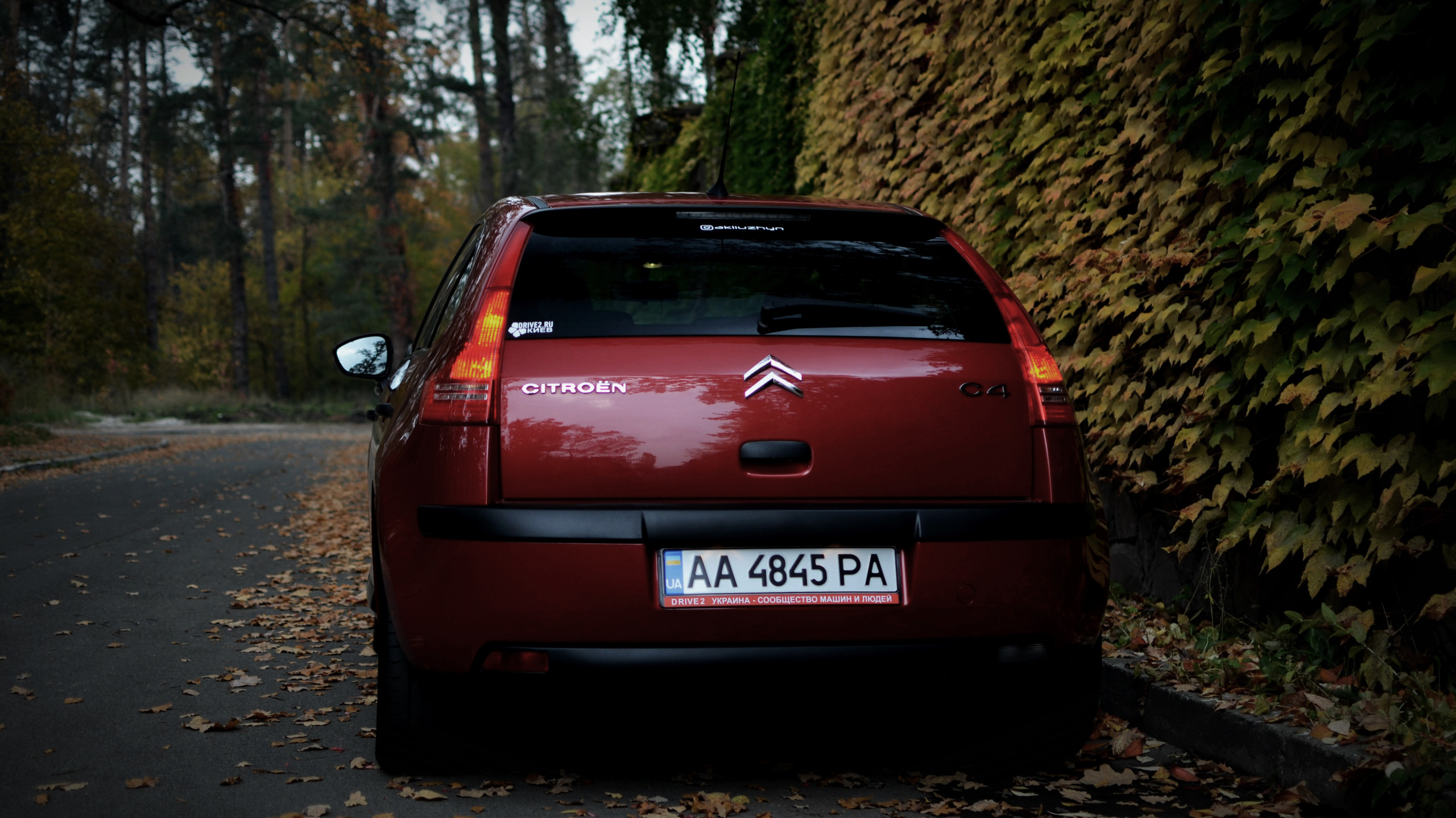 Скачать обои машина, осень, листья, Ситроен, Citroen, Car, автомобиль,  France, раздел citroen в разрешении 2560x1440