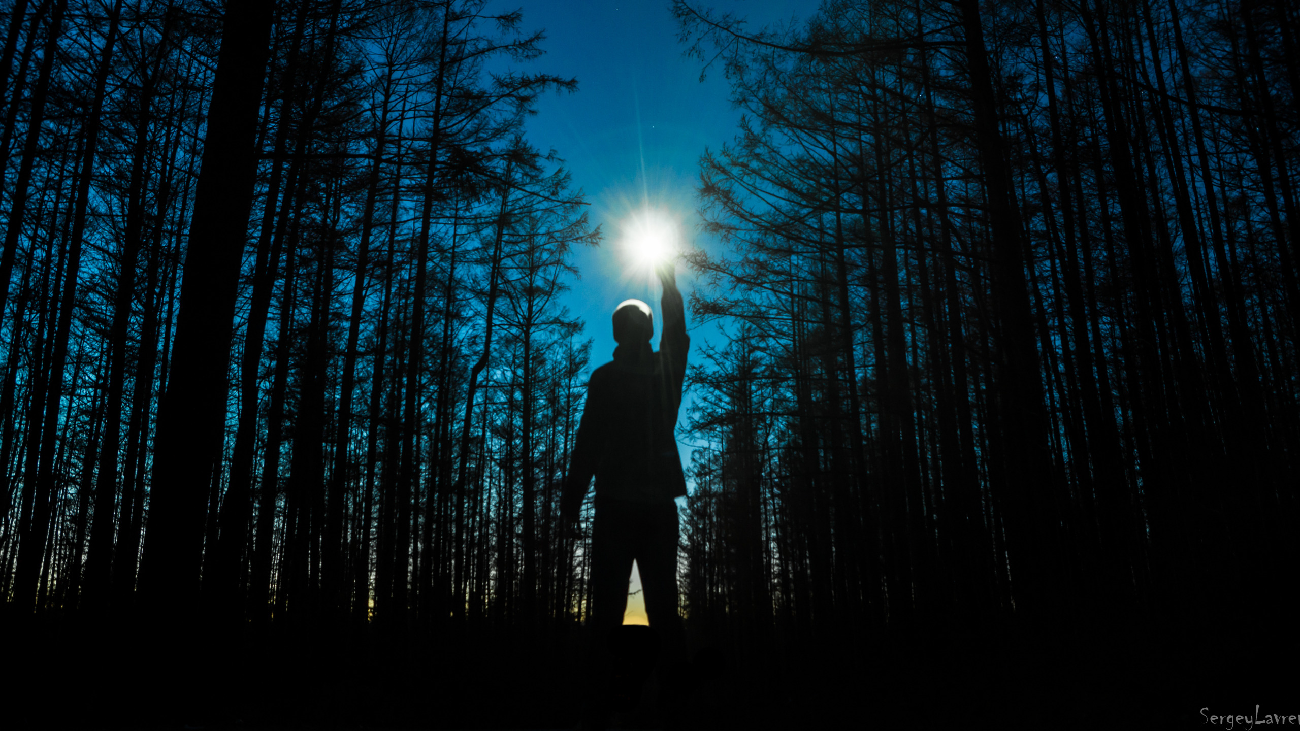 Гибнущий свет. Человек в ночном лесу. Человек с фонарем в лесу. Человек в лесу ночью. «Ночь в лесу».