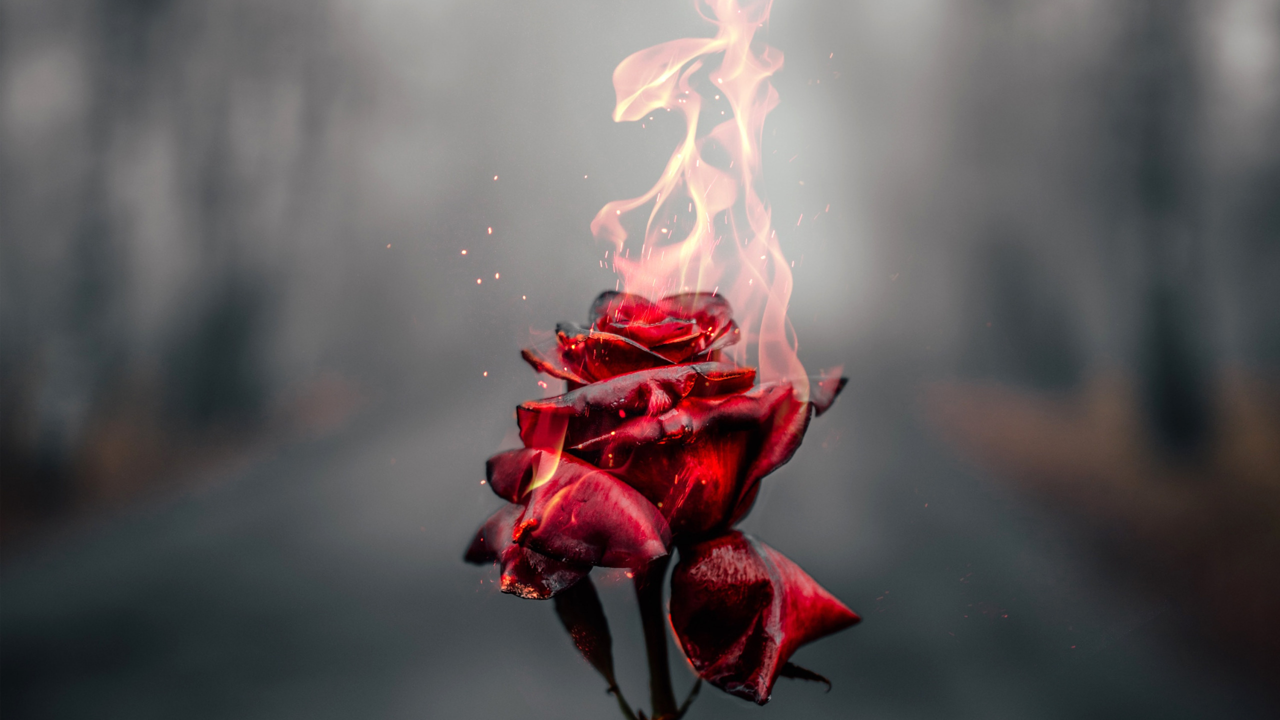 Terraria огненная роза фото 6