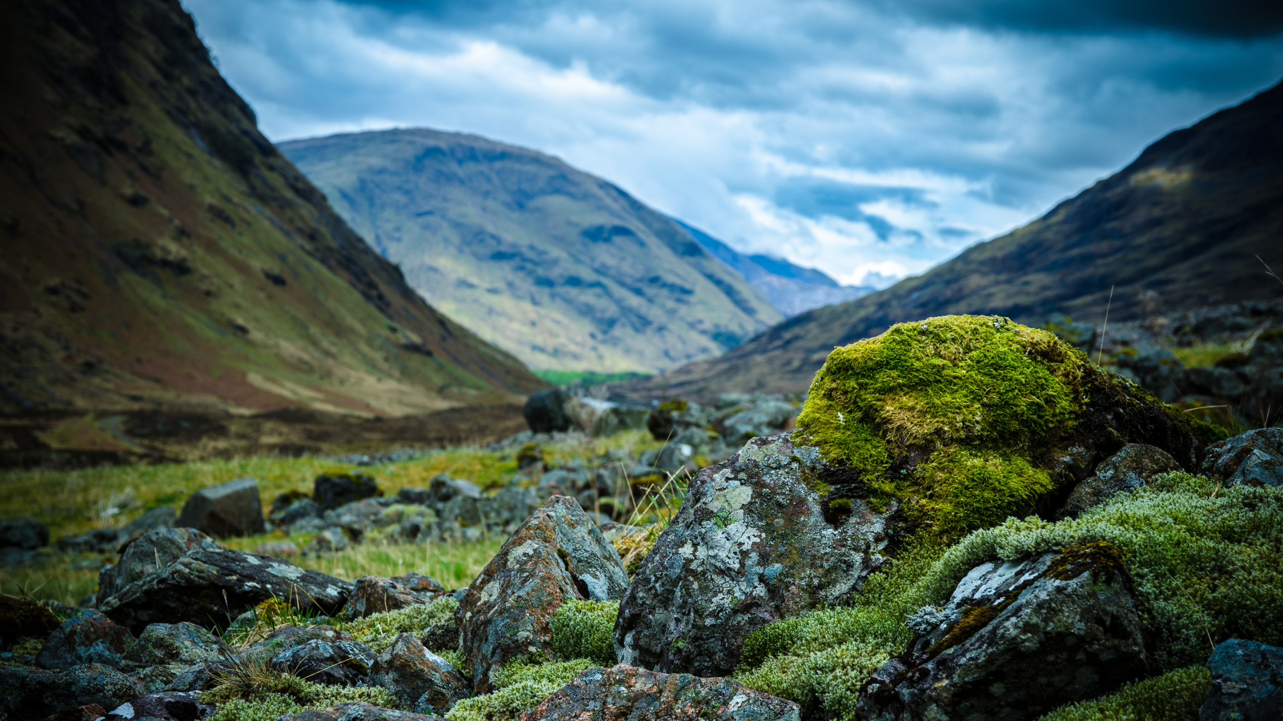 Scotland nature reserves. Шотландия Highlands. Горный район Шотландии «Highlands. Шотландия ландшафт. Мхи Уиклоу Маунтинс Ирландия.