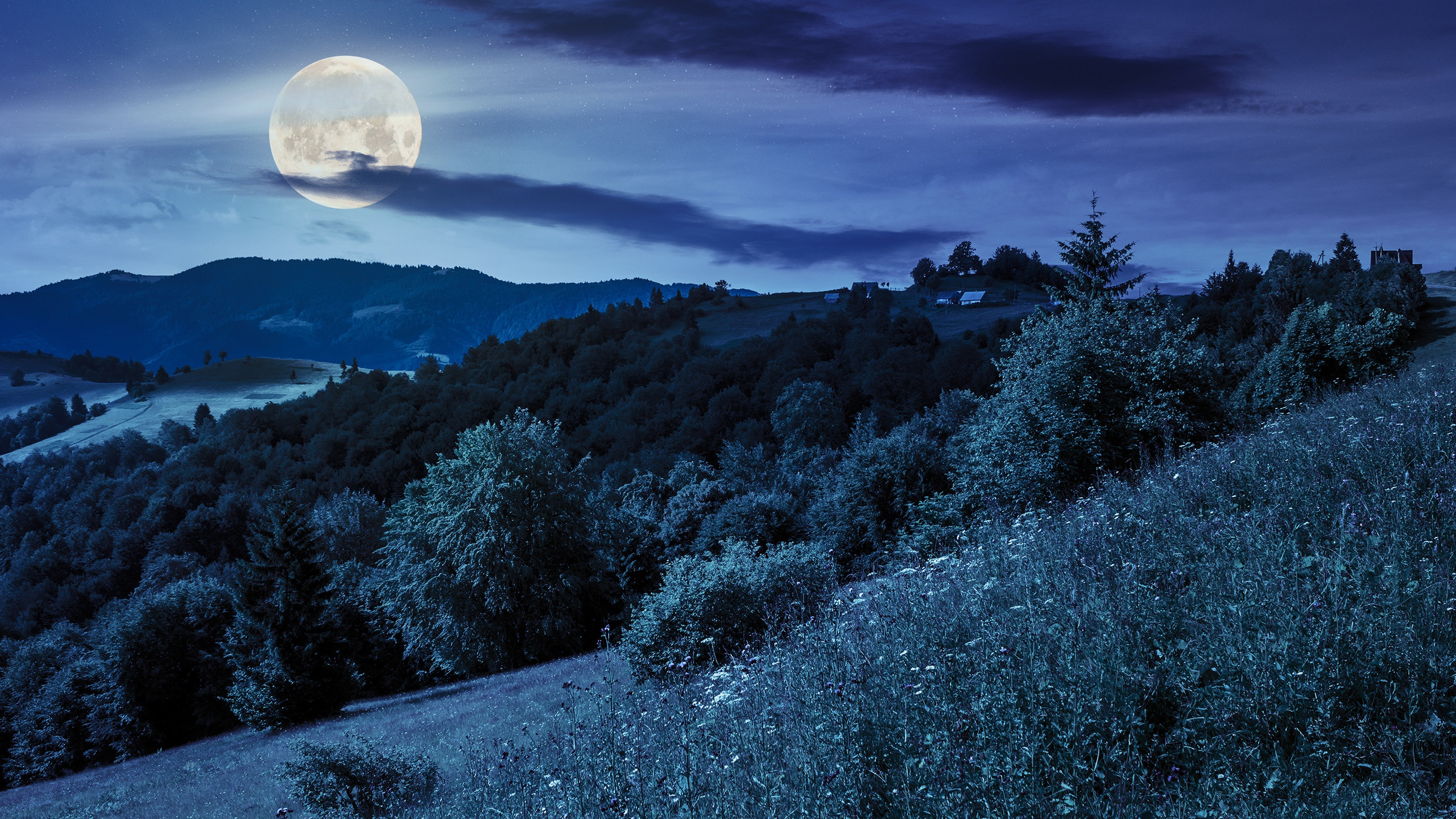 Пейзажи ночью картинки. Ночное небо с луной. Пейзаж ночь. Красивые ночные пейзажи. Лунная ночь.