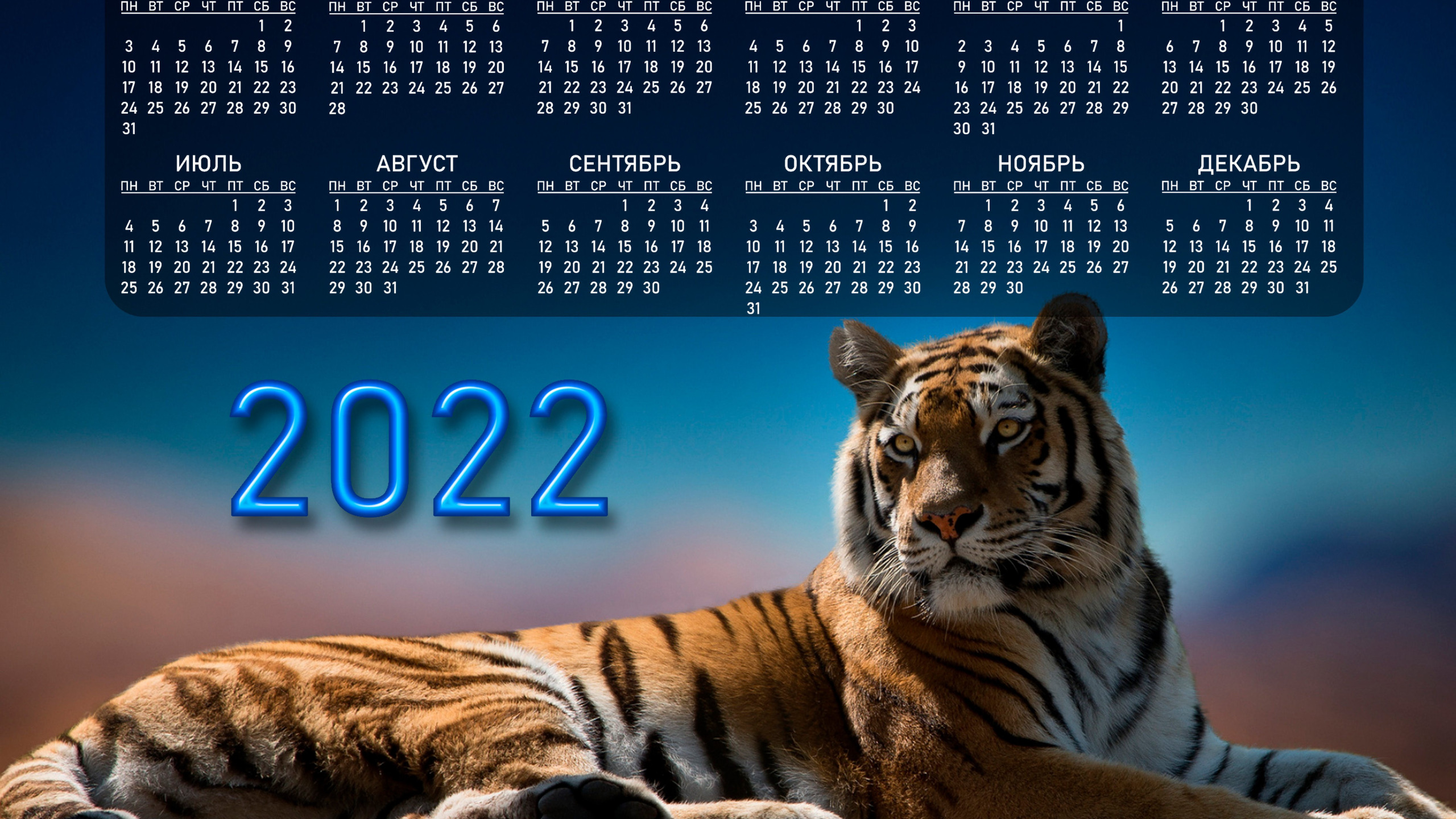 Календарь тигр