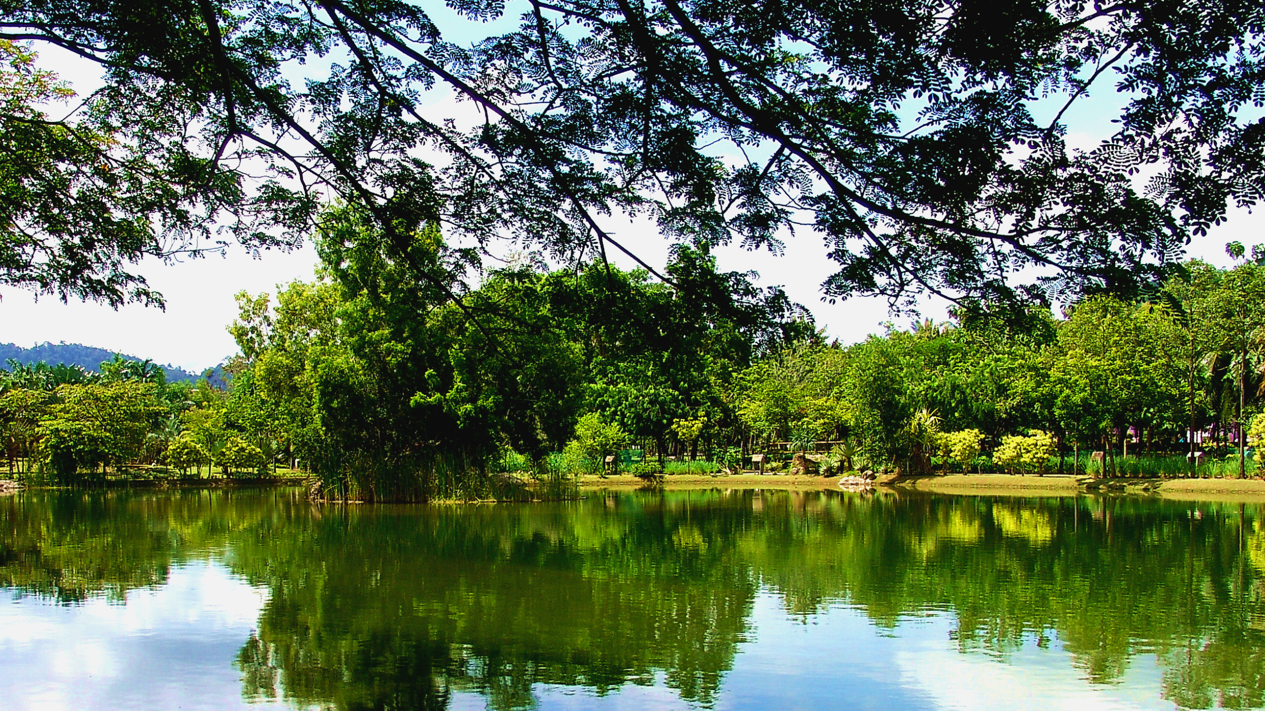 Озеро фото отзывы Скачать обои зелень, отражения, природа, озеро, green, Nature, trees, Турция, ра