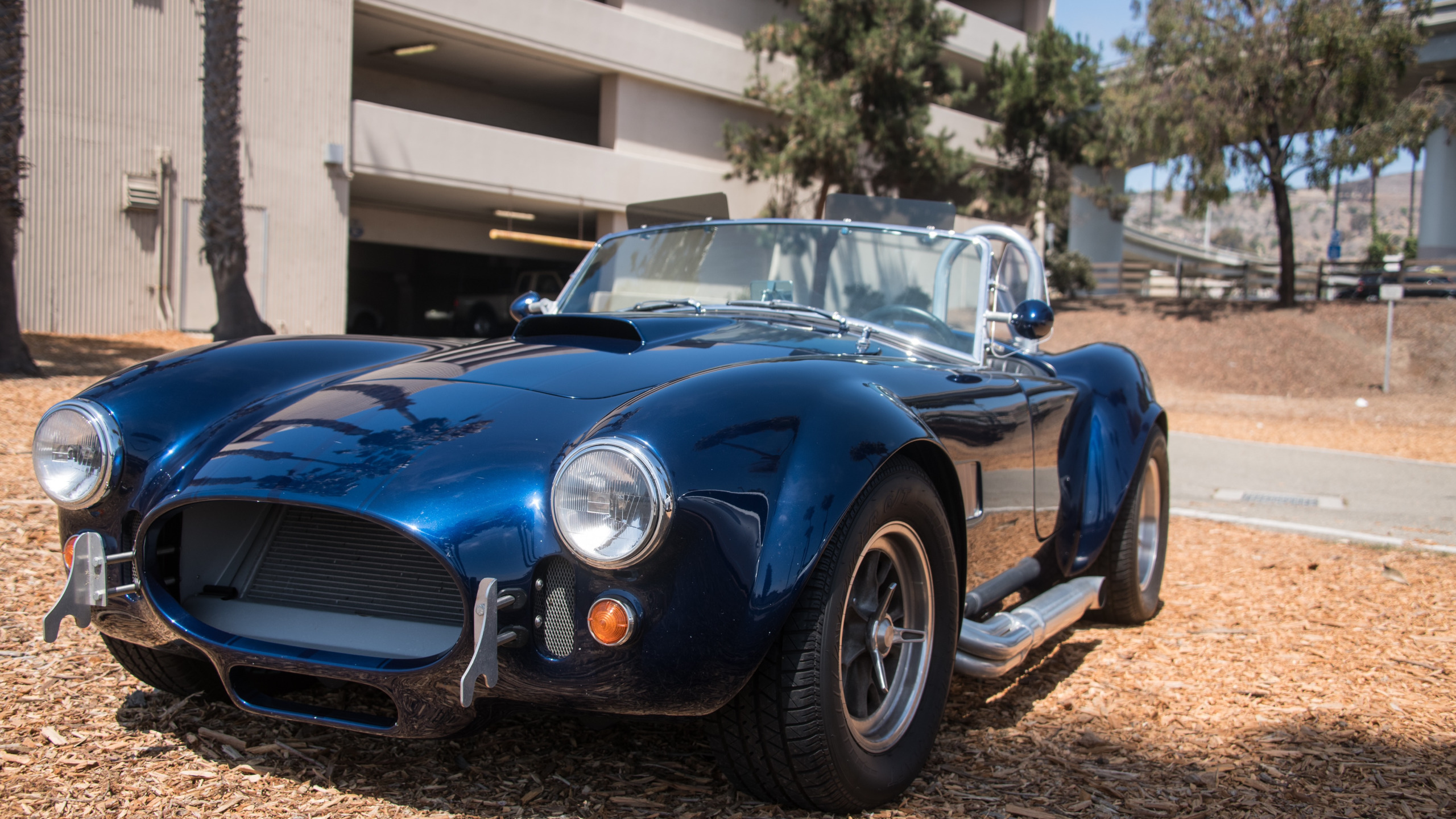 Shelby Cobra голубая