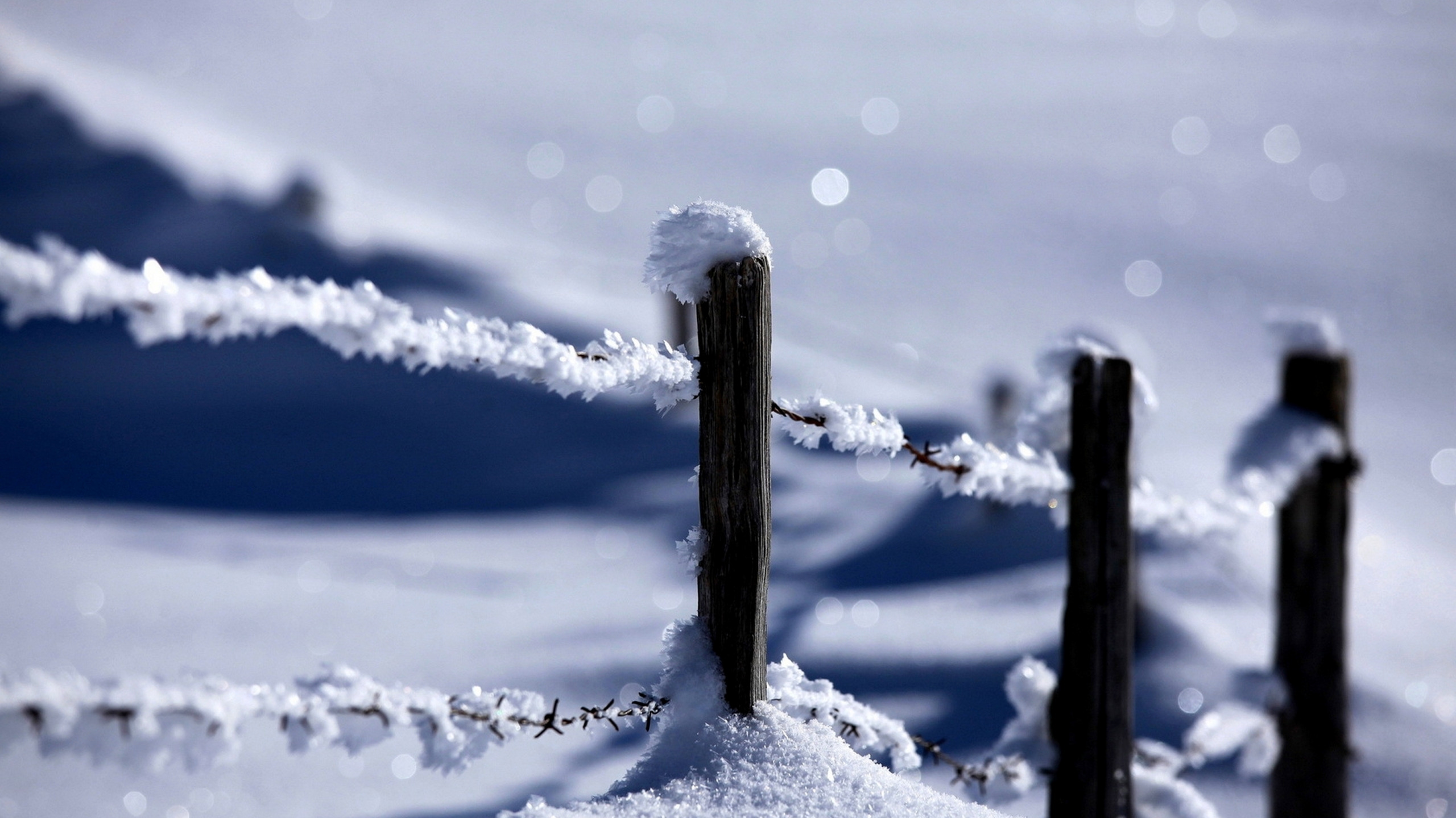 Snow protect. Снег на заборе. Зима забор. Снег и вода. Обои зима забор.