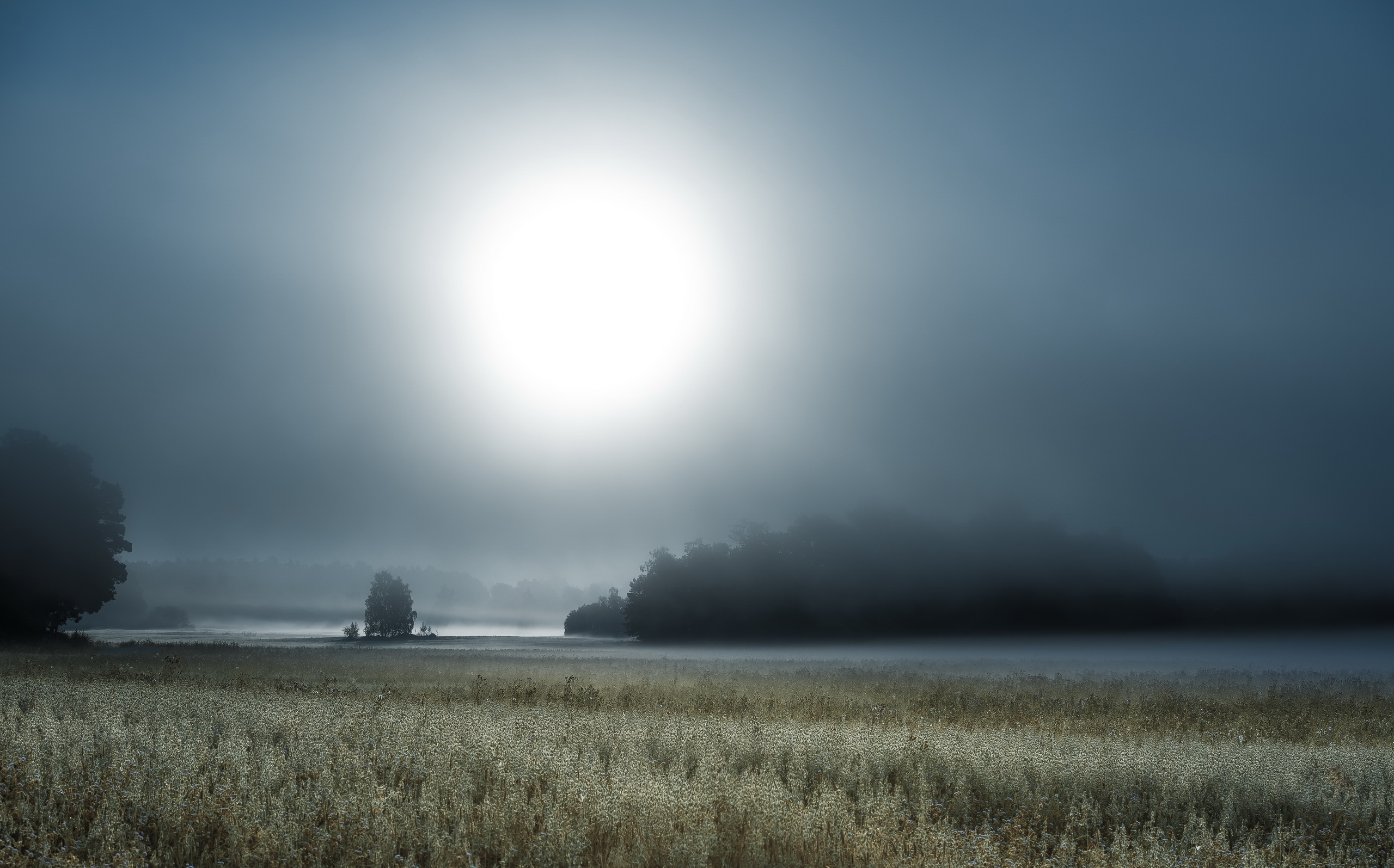 Луна над полями. Туман. Туман ночью. Туманный пейзаж. Туман в поле ночью.