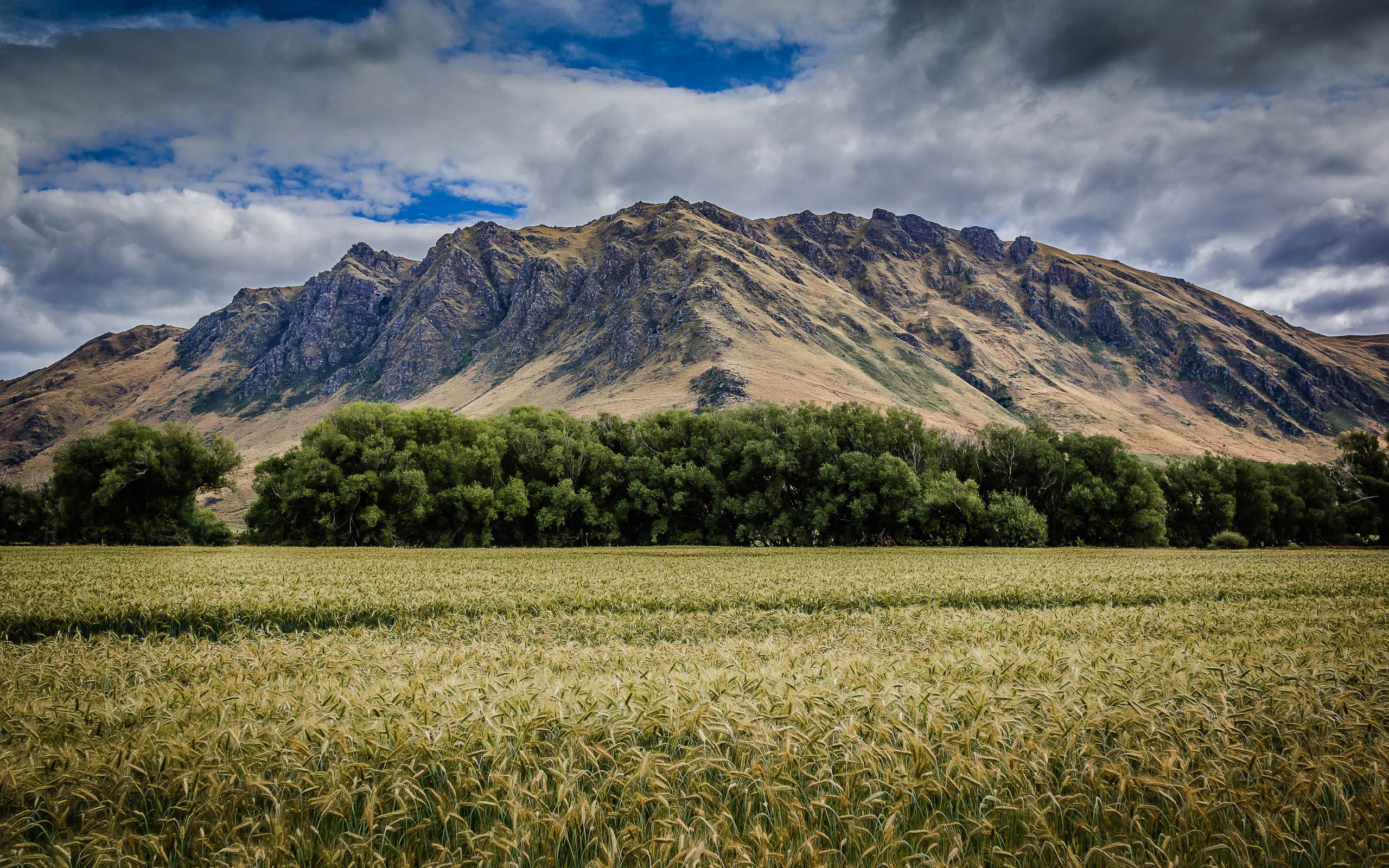 Mountain grassland. Горы. Поле горы. Вид с горы на поле. Горы и равнины.