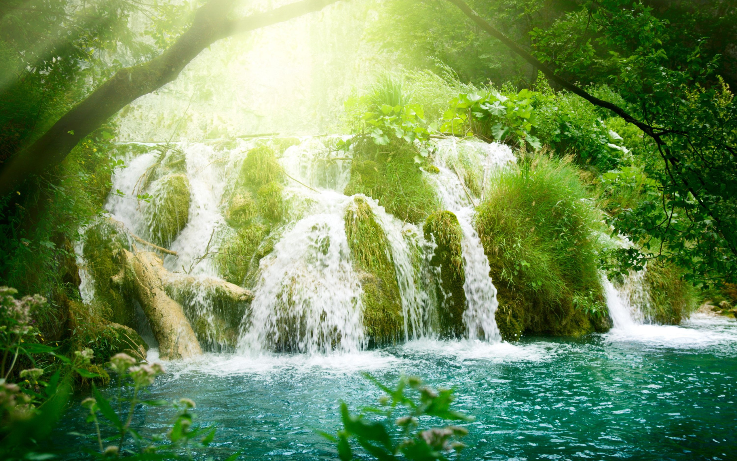 Видео со звуками природы. Водопад Мосбрей. Природа водопад. Вода в природе. Живая природа водопады.