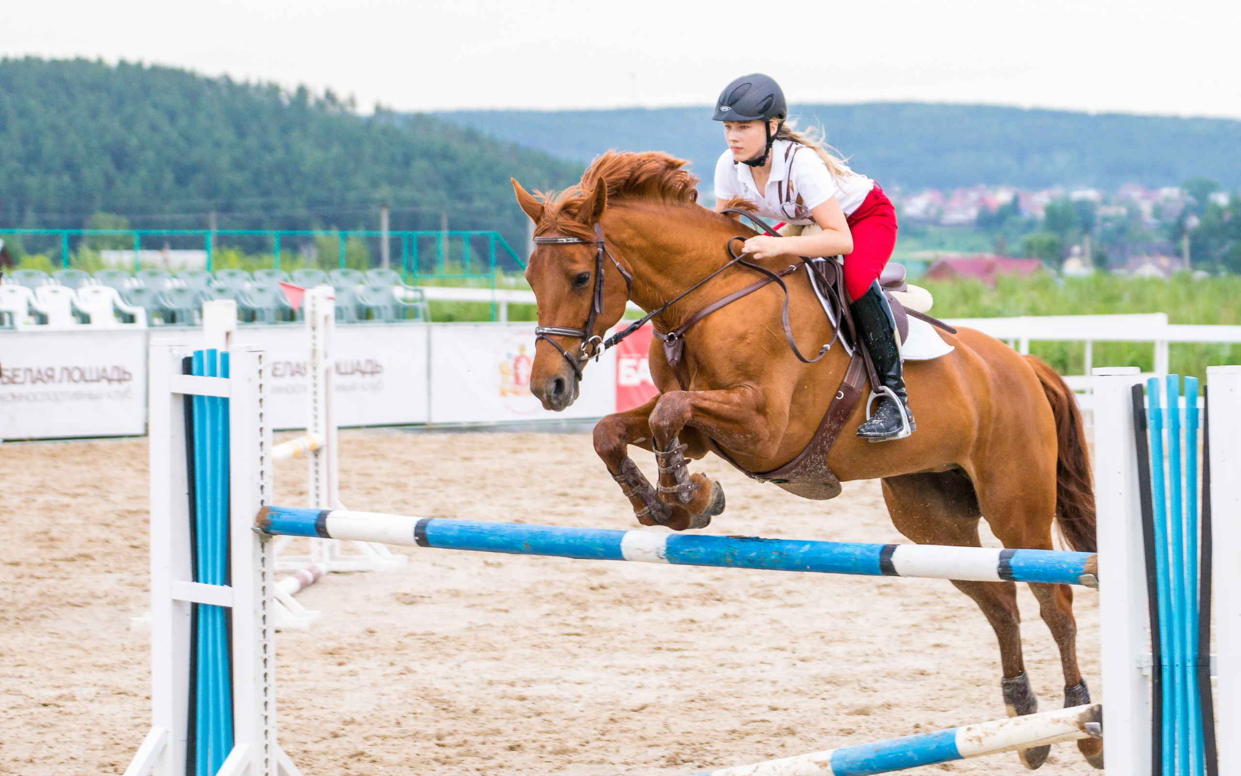Horse sport