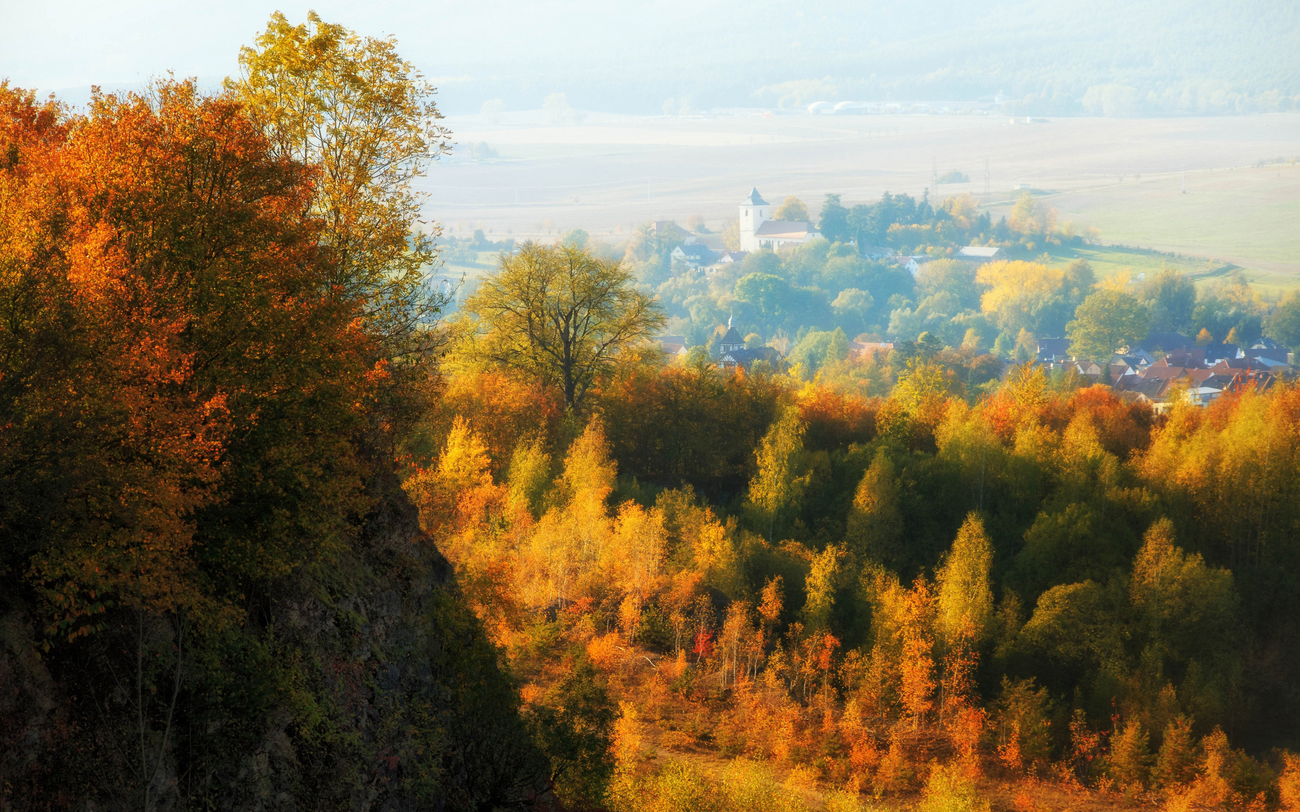 Саровский лес осень