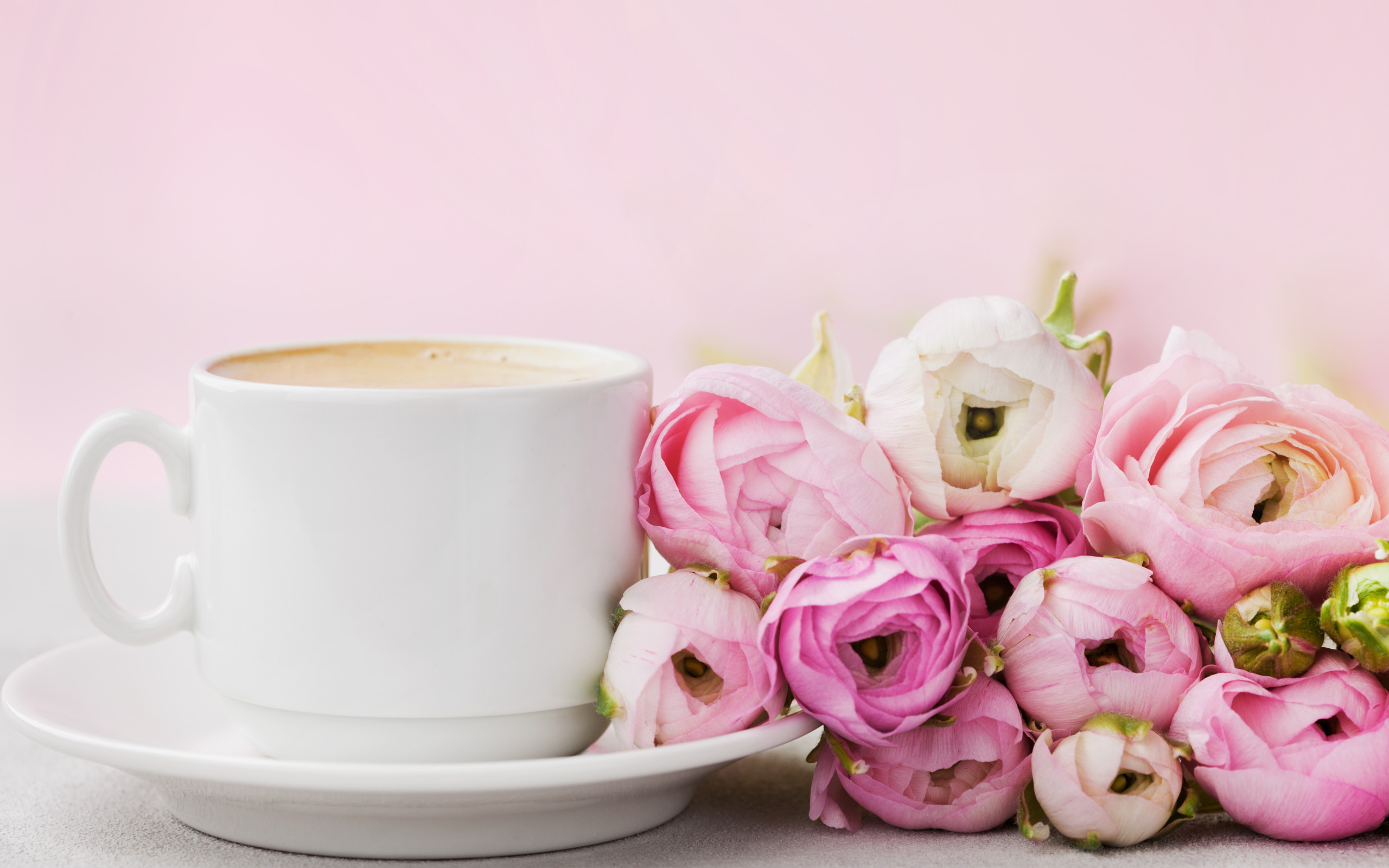 Нежные цветы в чашке. Утренние цветы. Кофе и цветы. Цветы в кружке. Cups flowers